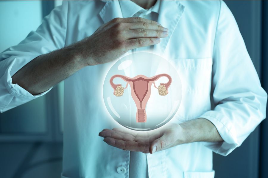 Hay 12 genes relacionados con el envejecimiento ovárico