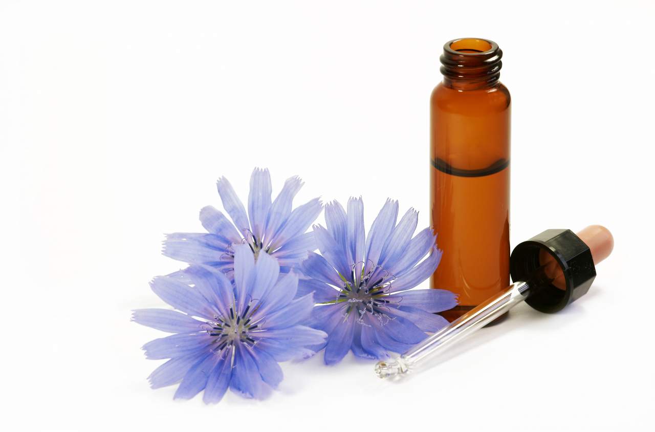 Flores de Bach: terapia floral para vivir mejor