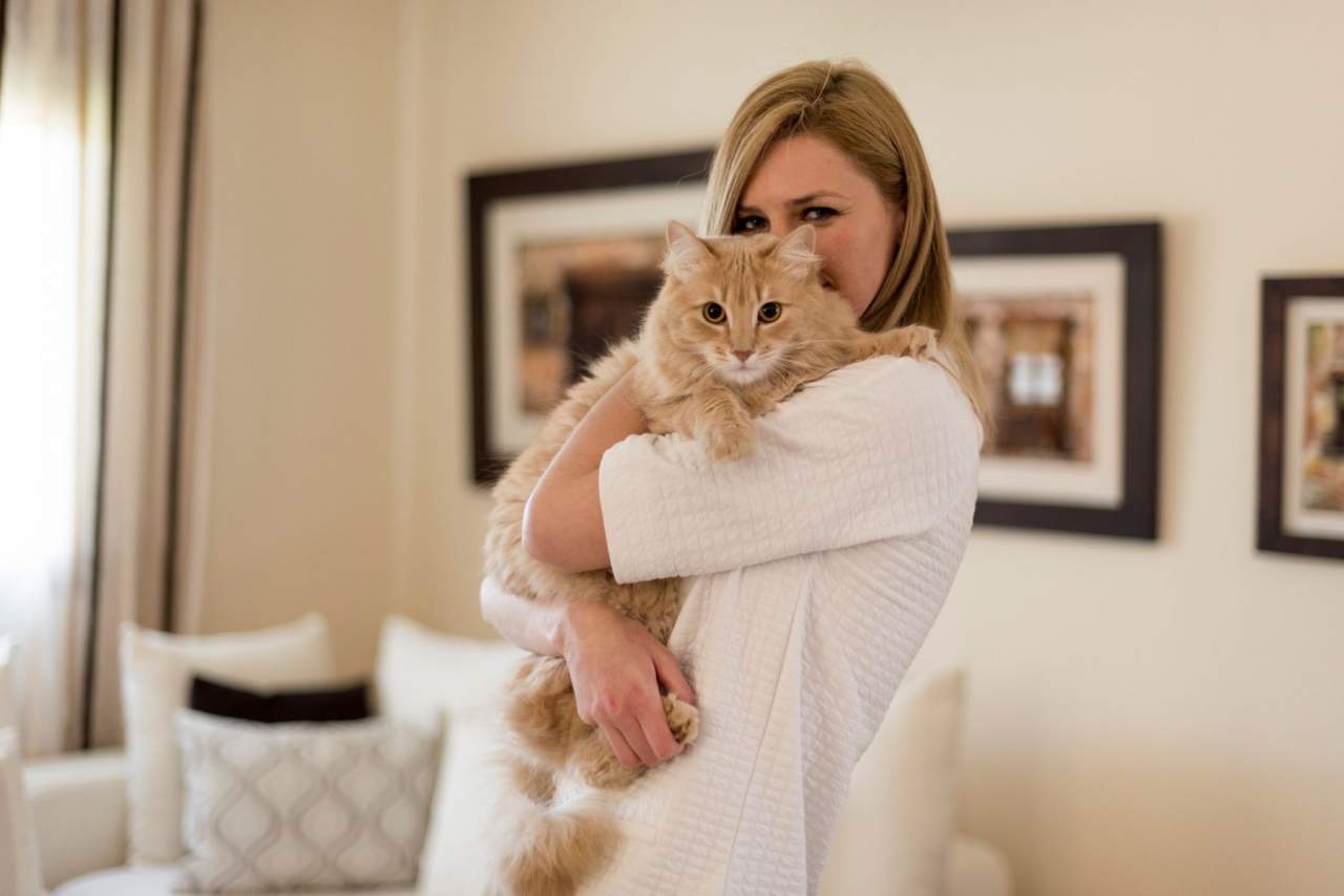 Encantadora de Gatos: ¿Se puede educar a un gato o corregir la conducta o comportamientos indeseados?