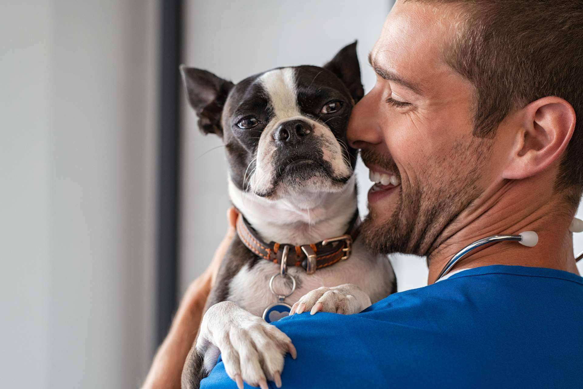 Curso Auxiliar Técnico de Veterinaria en Tecni Estudio
