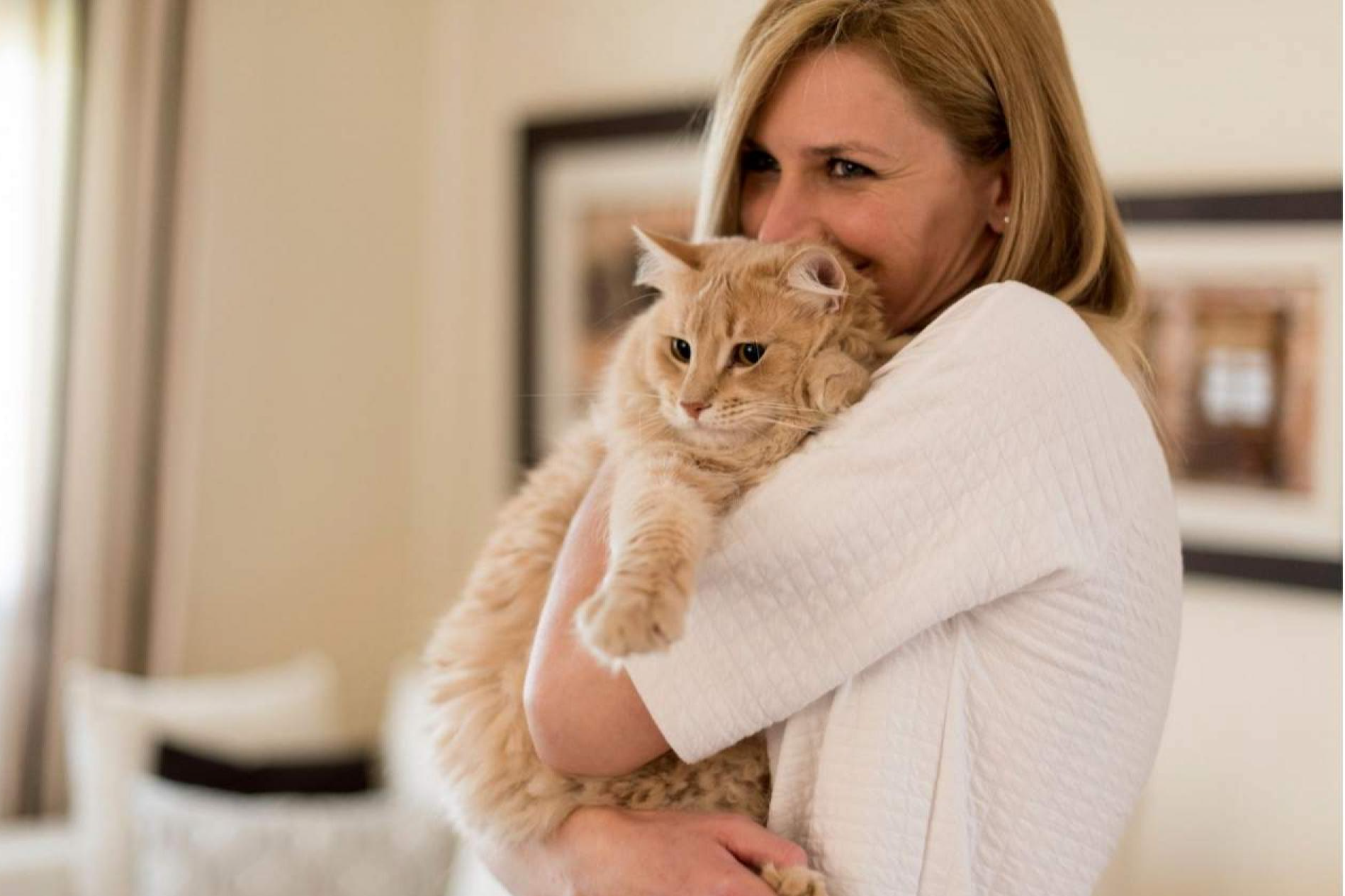 ¿Cómo educar a un gato para que no muerda? El método de la Encantadora de Gatos