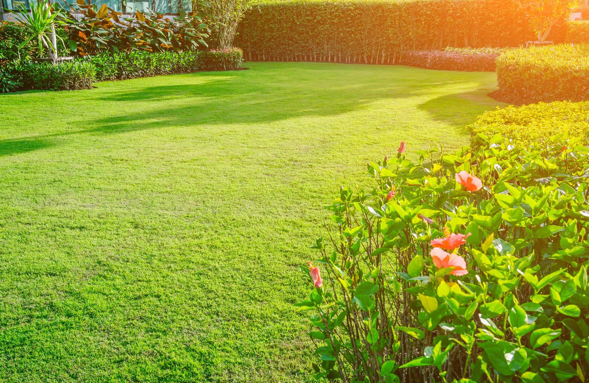La flexibilidad del cortacésped automático de Robotic Mowers