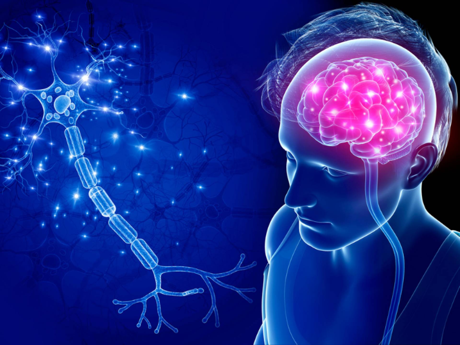 Nootrópicos naturales de Nutribiolite: los suplementos que ayudan a mejorar el rendimiento cognitivo sin efectos secundarios