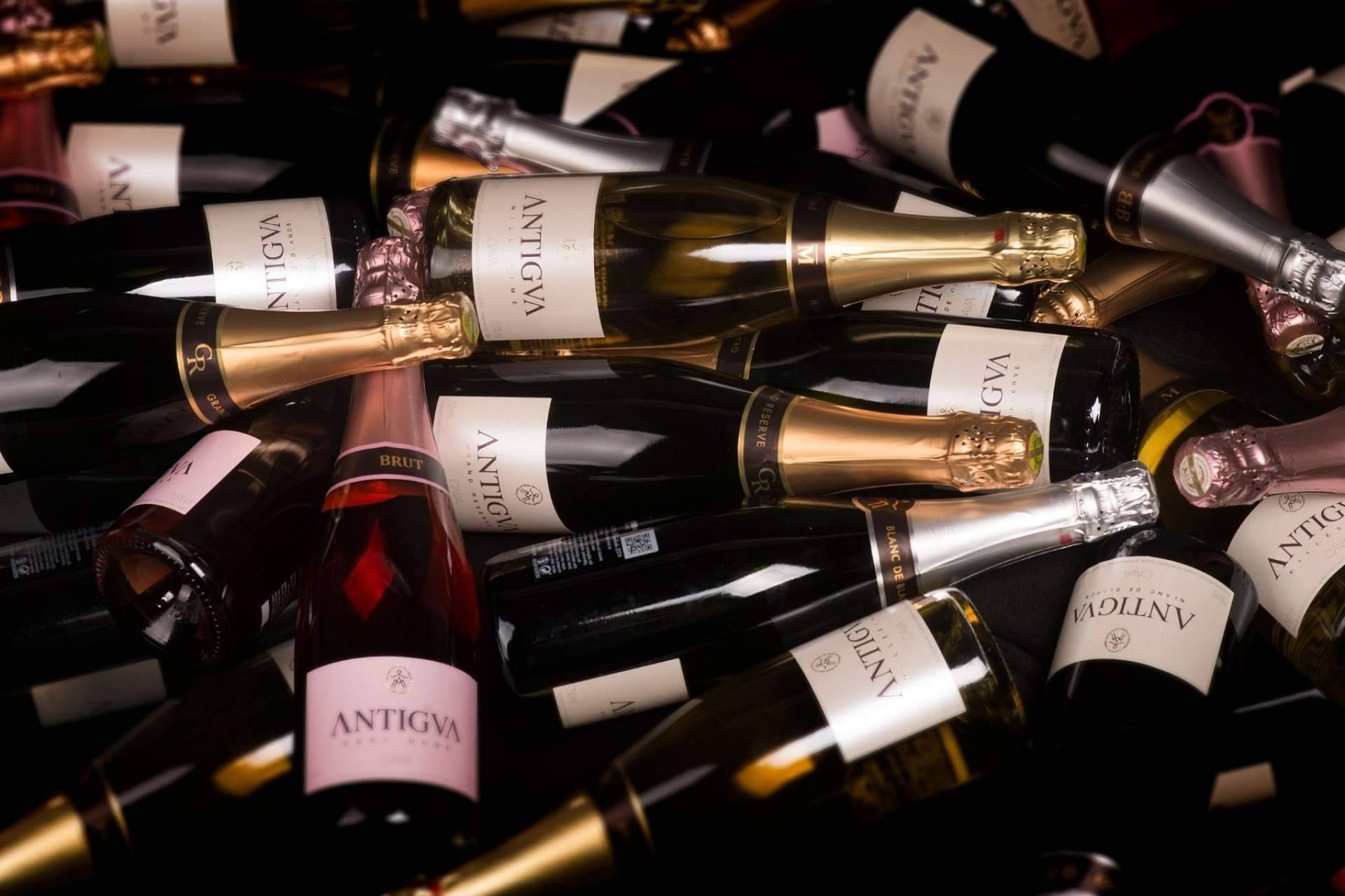 Antigva: innovación en el mundo de los vinos