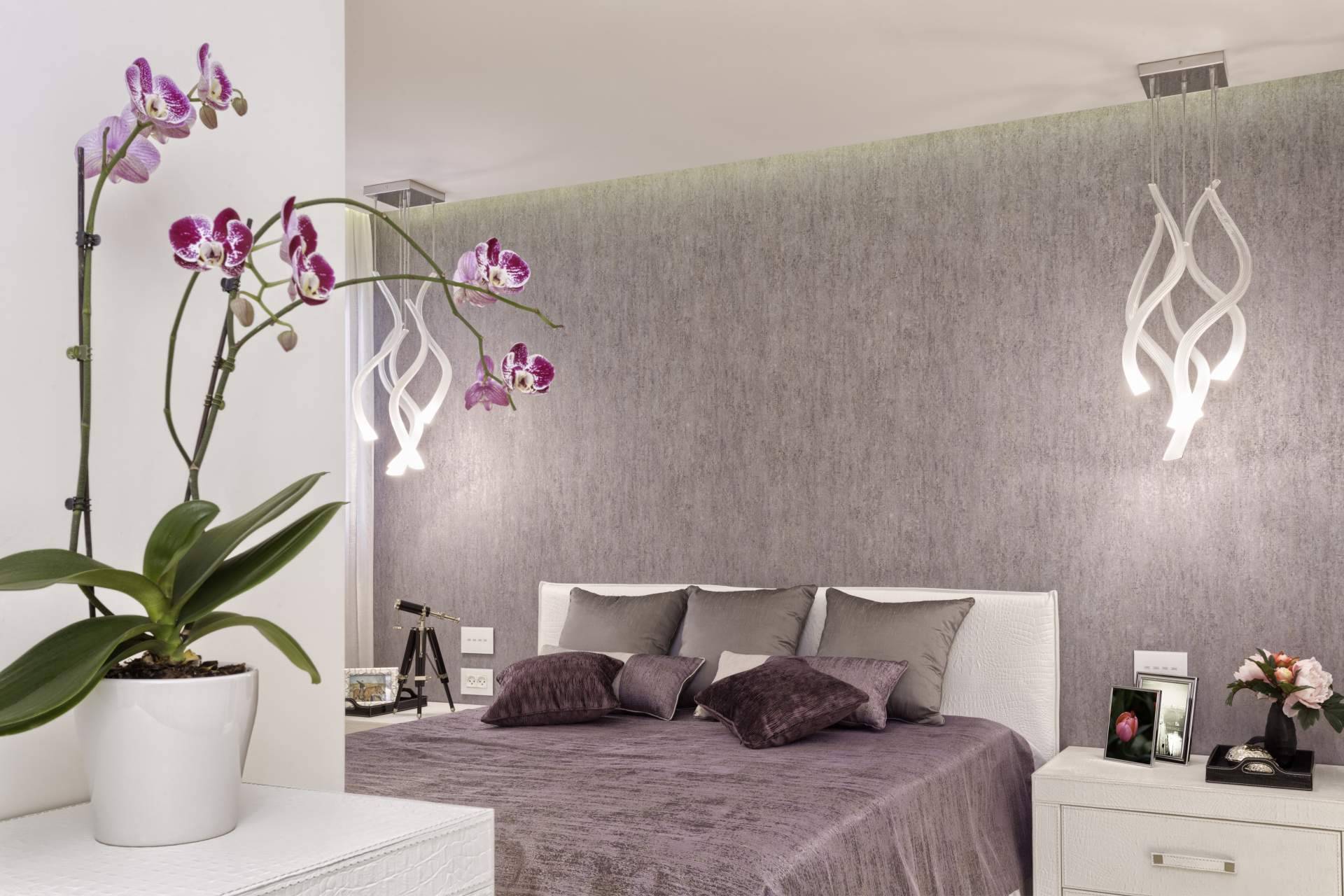 Programa Feng Shui para el amor con el objetivo de encontrar pareja