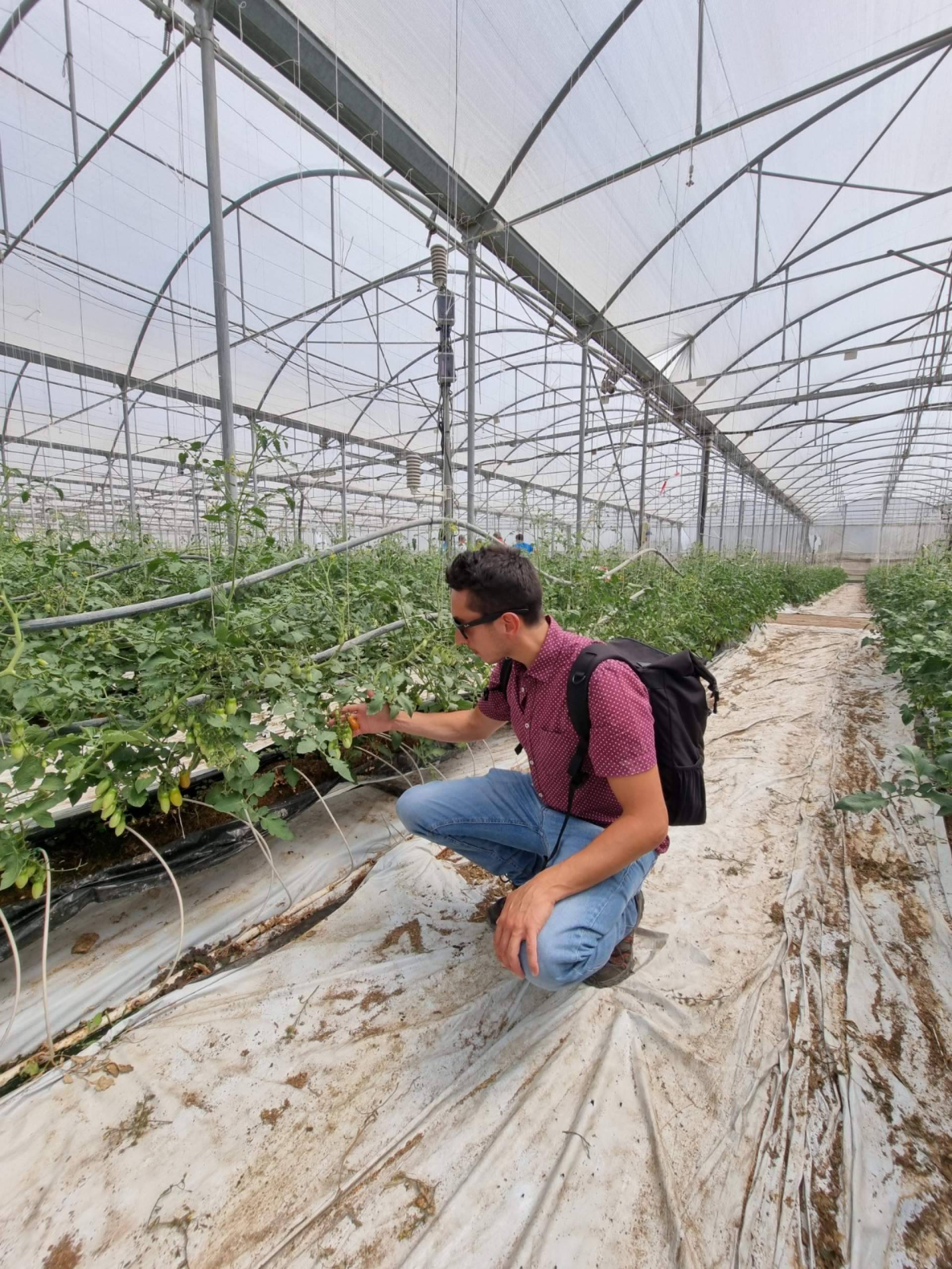 Malla termodifusora con partículas de aluminio: mejorar la calidad de los cultivos gracias a los servicios de la empresa AGRALIA