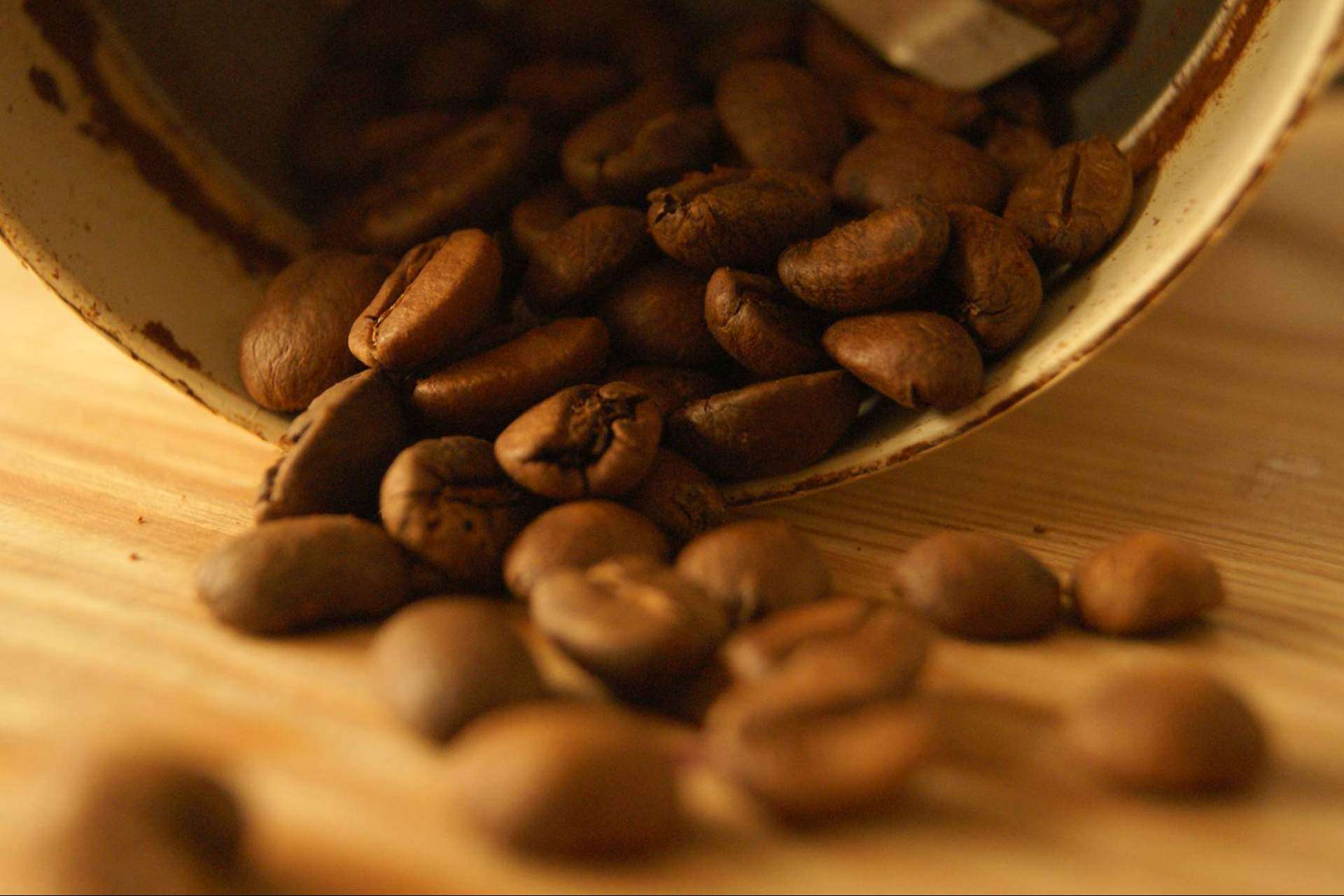 Cafés Guayacán, el mejor café especial que garantiza una bebida justa y sostenible