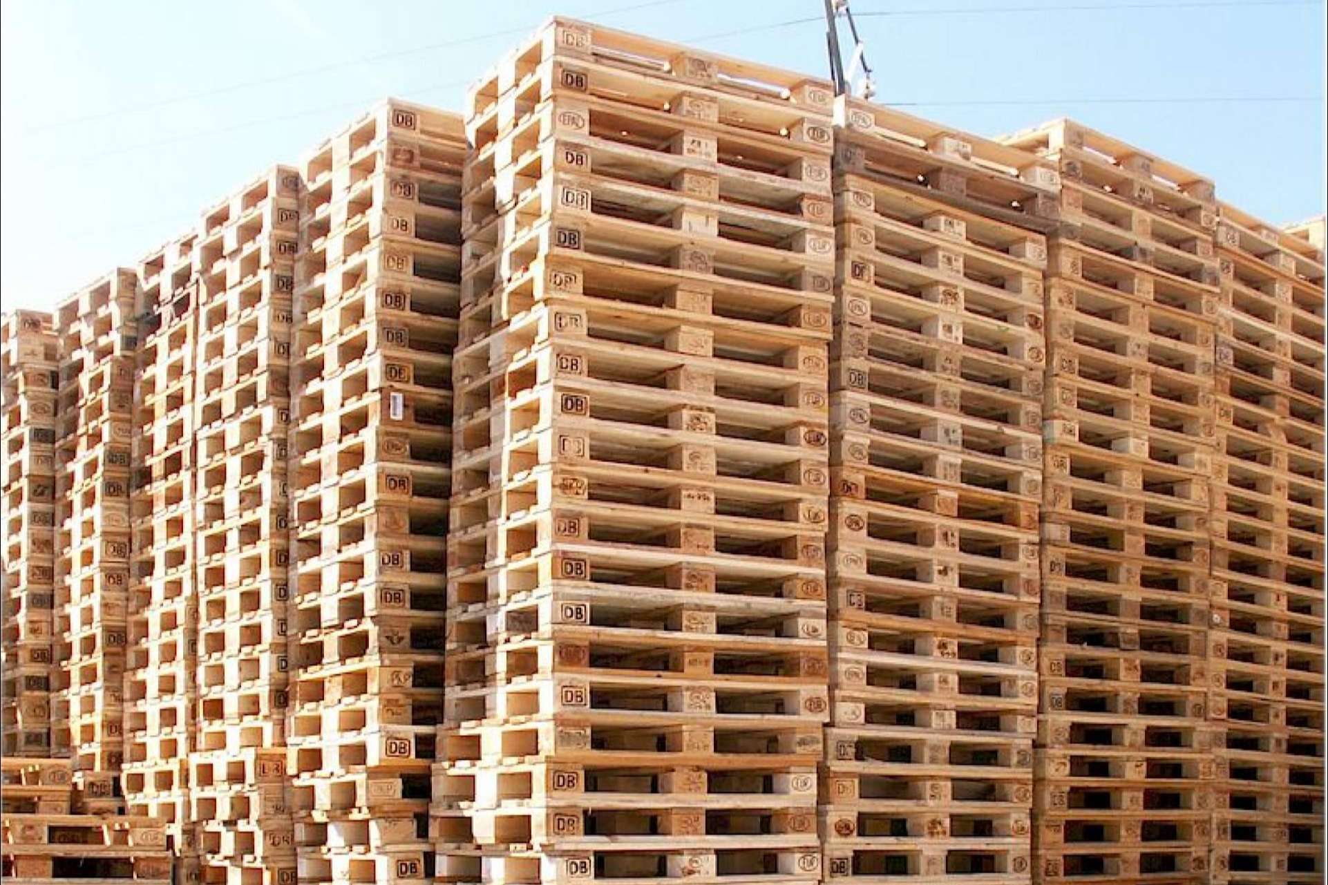 Europalet: ¿Cómo ha afectado la crisis de materias primas a nivel internacional a la producción de palets?