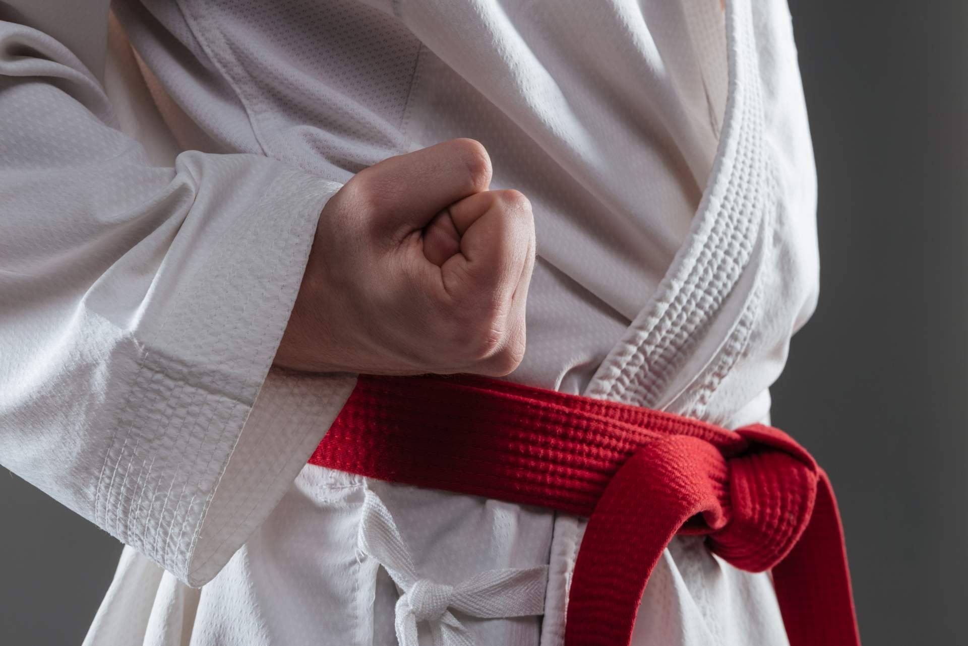 Kendokan Martial Arts es una tienda online que ofrece a los amantes de las artes marciales una gran selección de equipo deportivo y equipamiento para poder entrenar en casa
