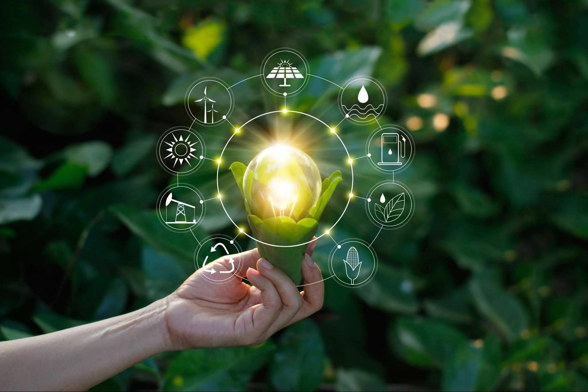 Hcebox, el software propio de Energybox, facilita las opciones de contratación de las empresas