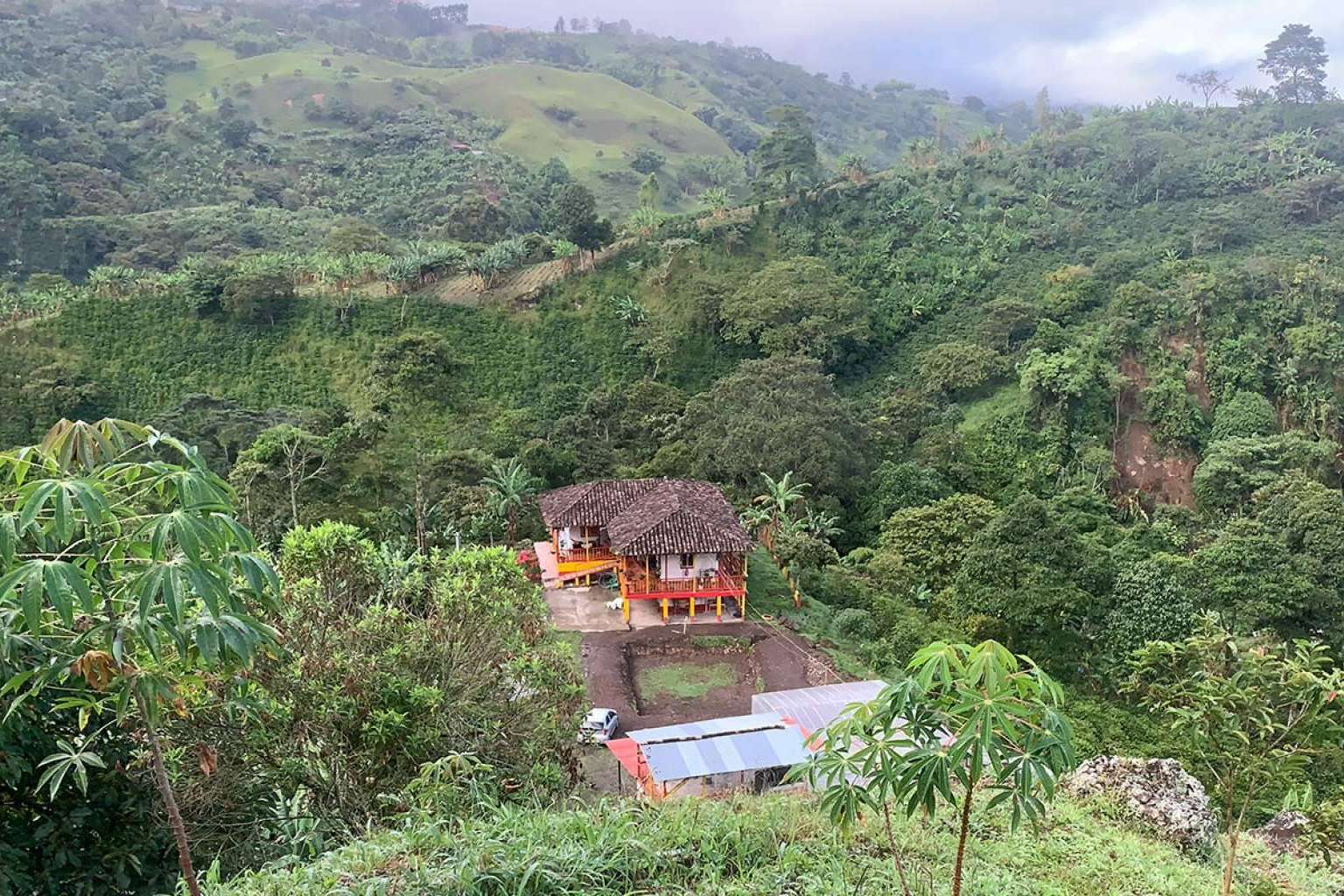 La Guashira exporta, importa y distribuye café de especialidad cultivado en Colombia con raíces alicantinas