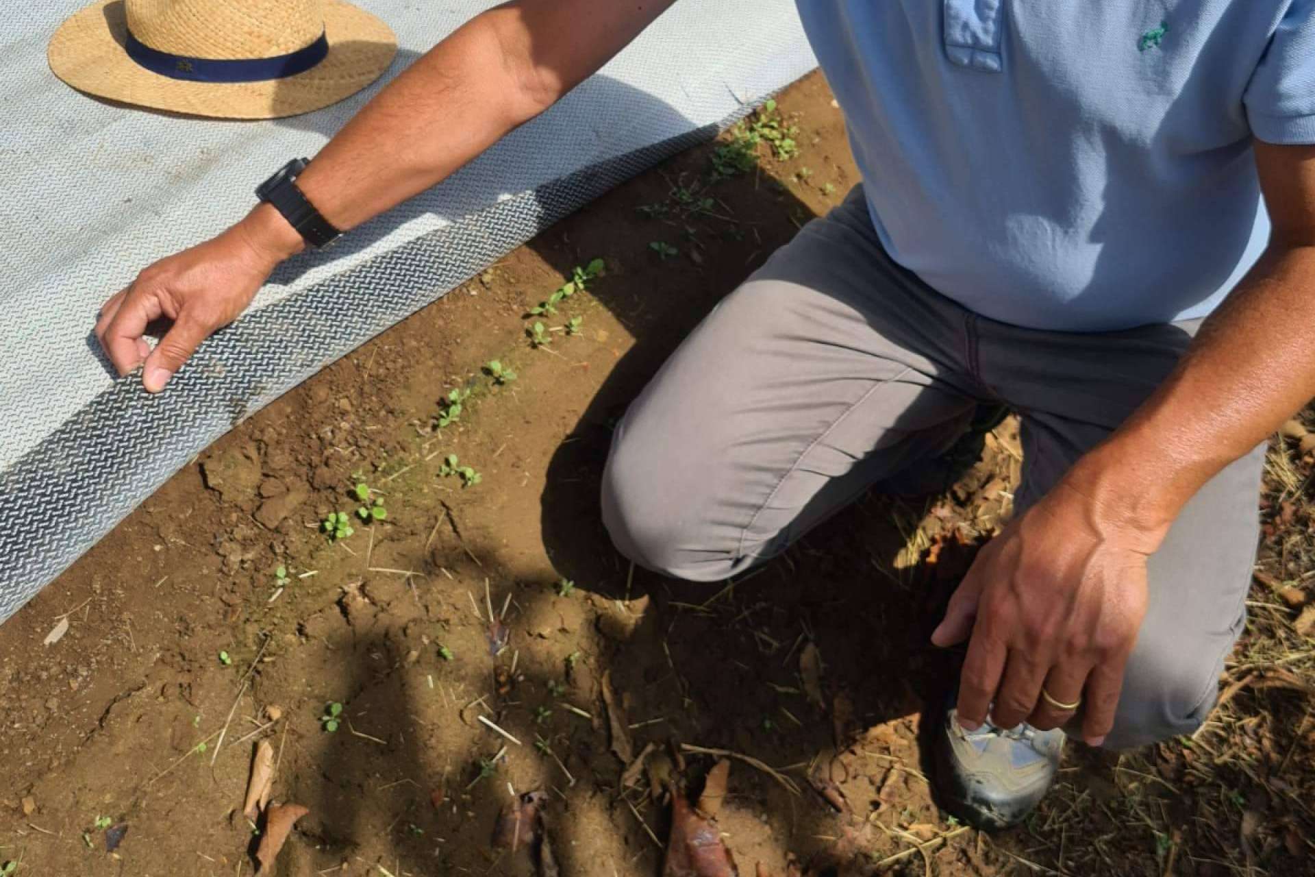 Las ventajas de Agrisoil, el tejido cubresuelos de Agralia