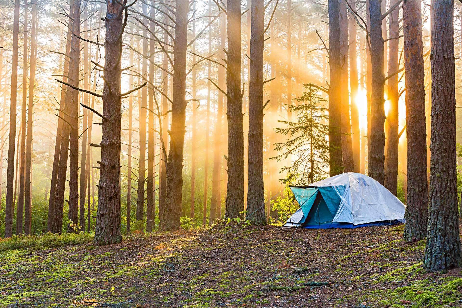 El campamento de aventura que permite dar la vuelta al mundo, por Aventurarte