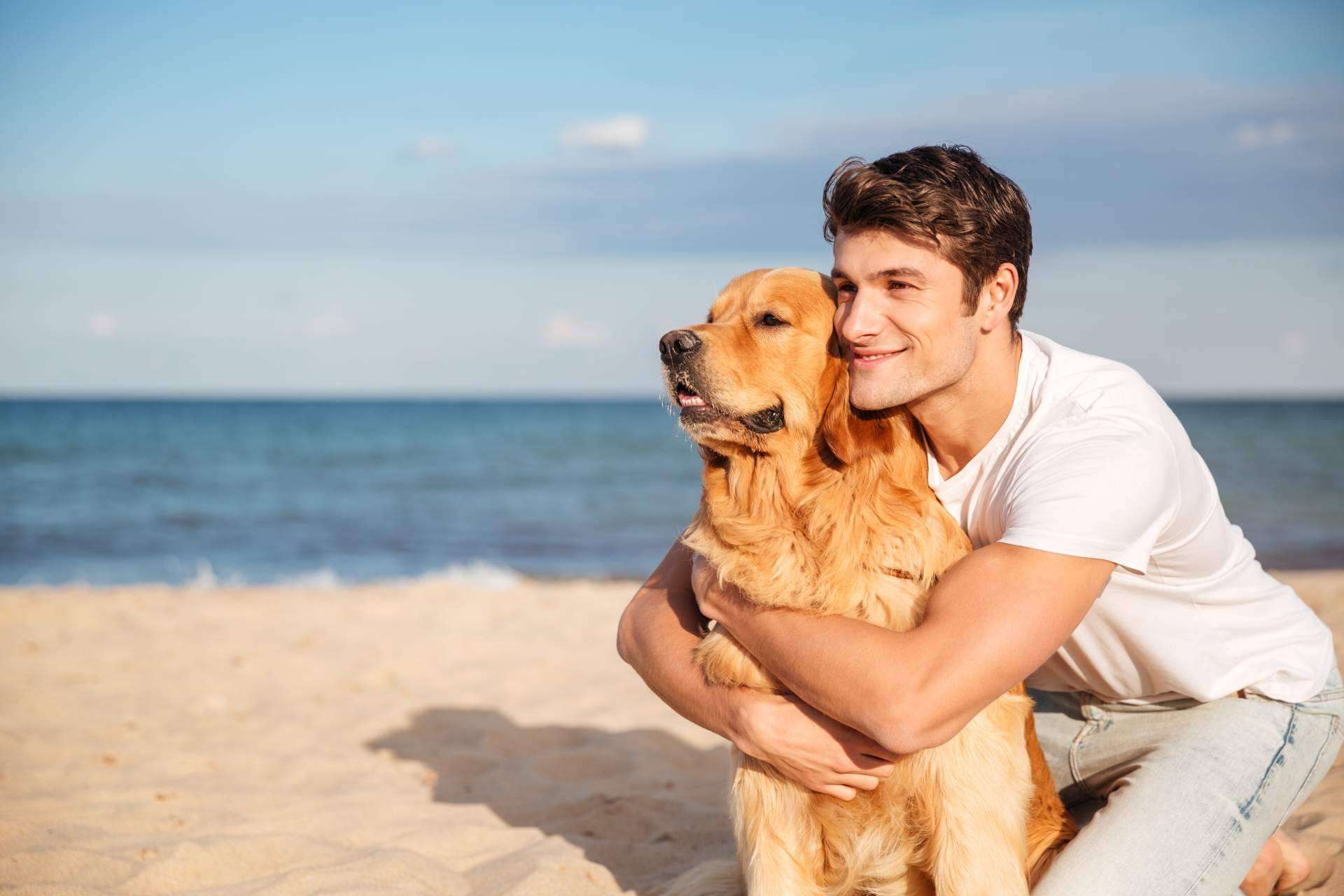 Miwuki Pet Shelter, la plataforma para la adopción y apadrinamiento de animales