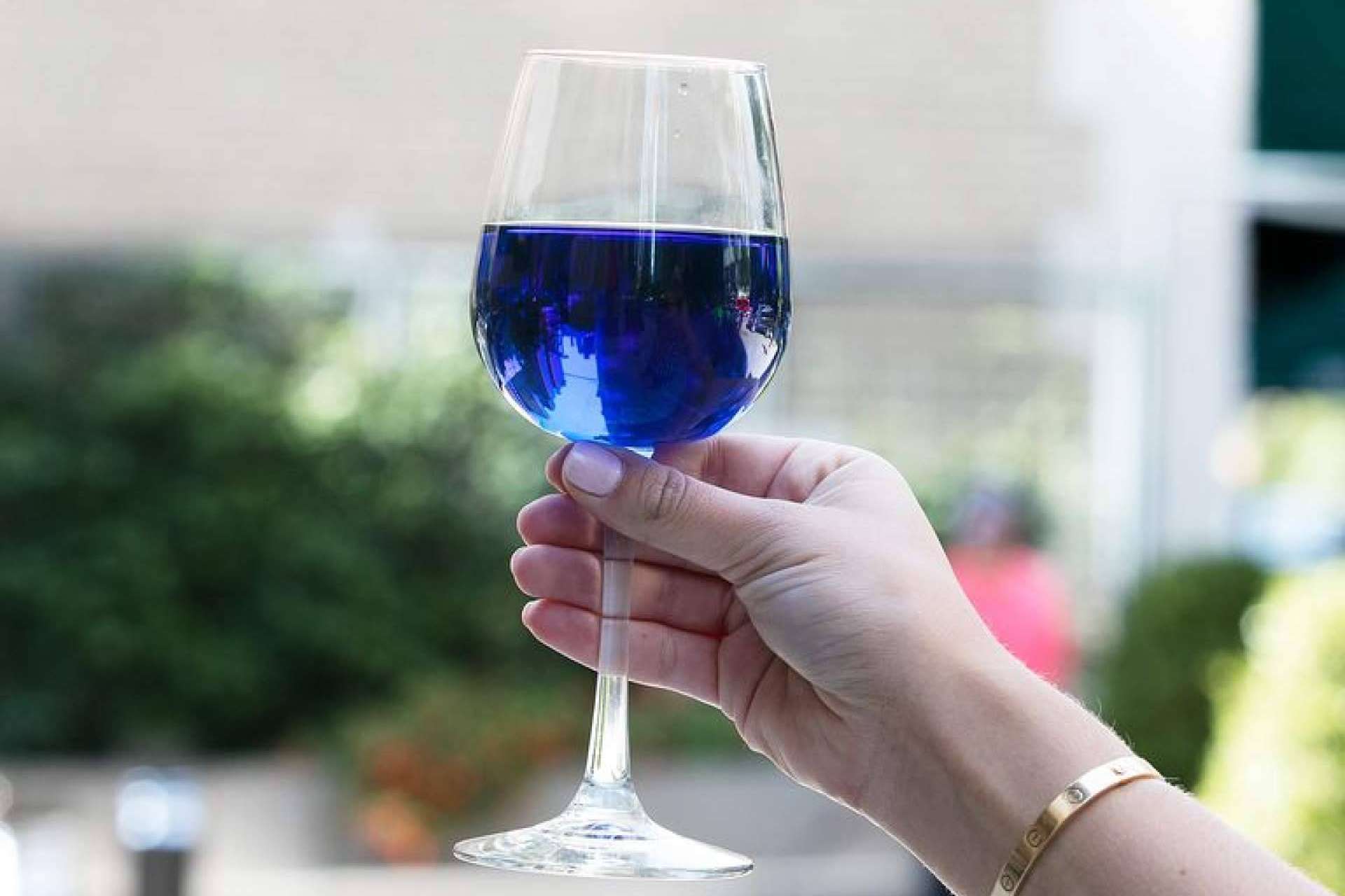 La tienda online Mesa 16 pone a disposición de sus clientes distintas variedades de vino azul