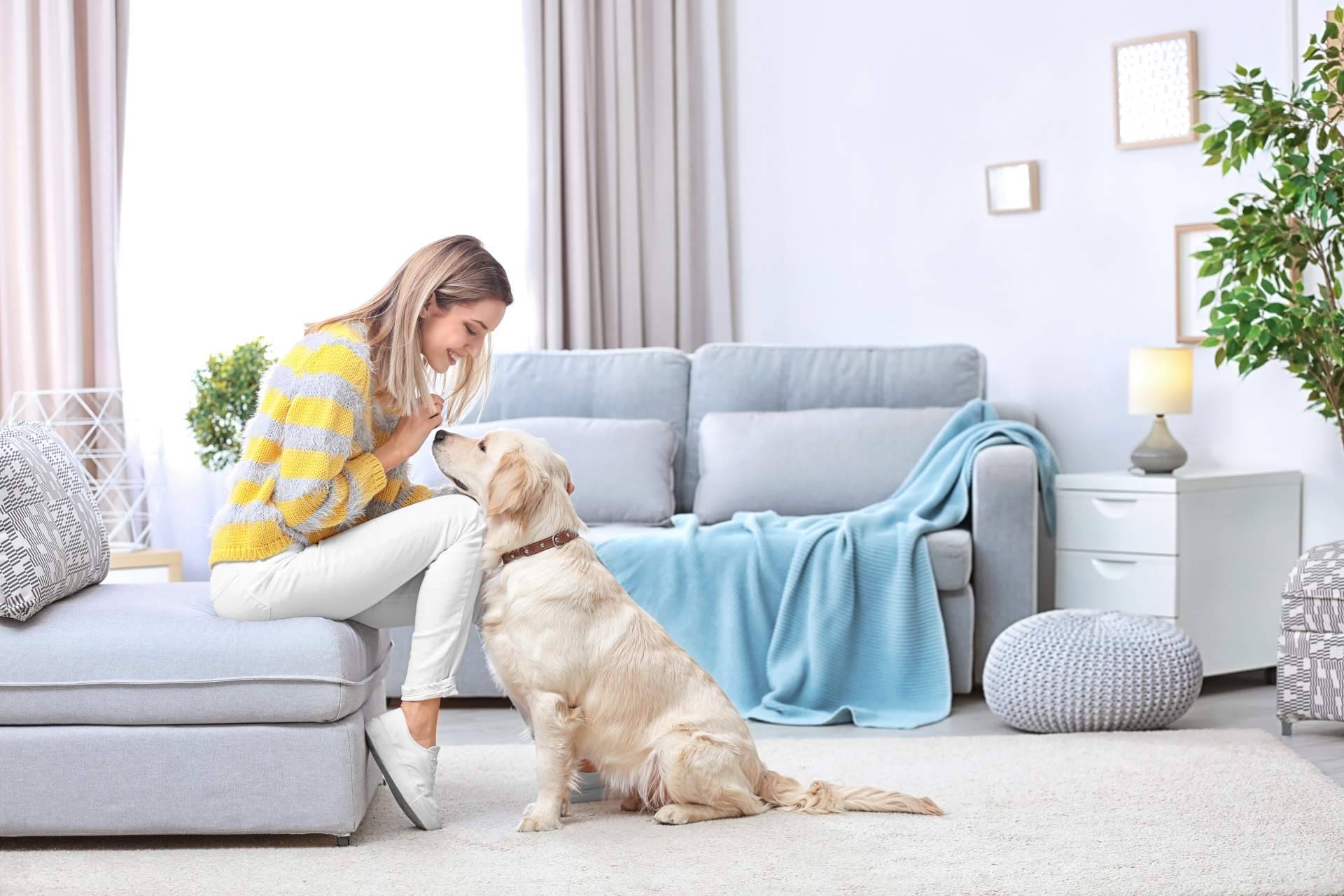 Consejos para garantizar una buena convivencia con perros y gatos. La antrozoología y etología del perro y del gato
