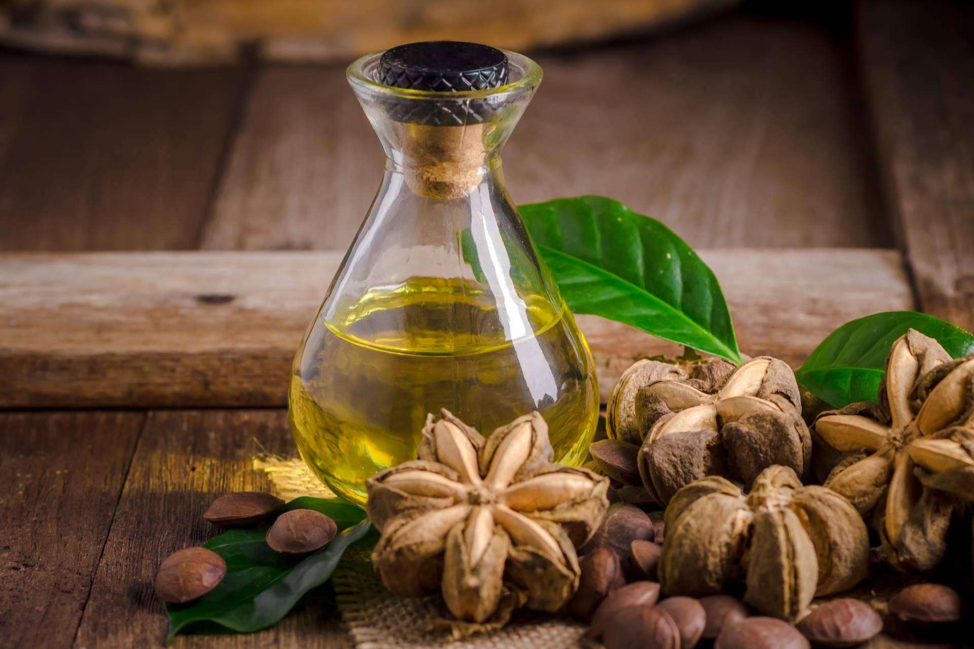 ¿Para qué son los aceites para el pelo de sacha inchi de CharoConector Healthy Style?