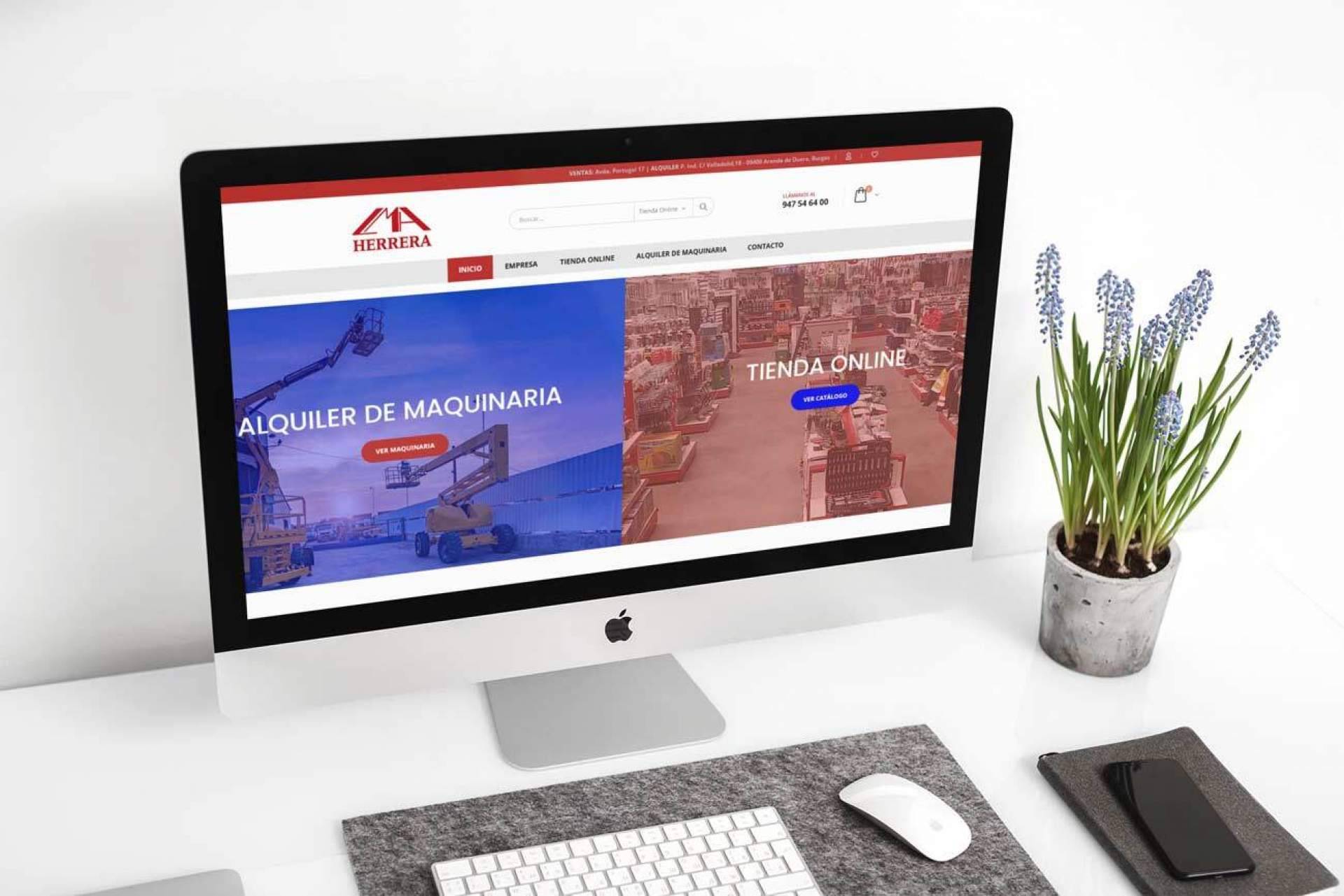 Diseño de tiendas online o diseño de e-commerce con el objetivo de conseguir más clientes y aumentar la rentabilidad del negocio