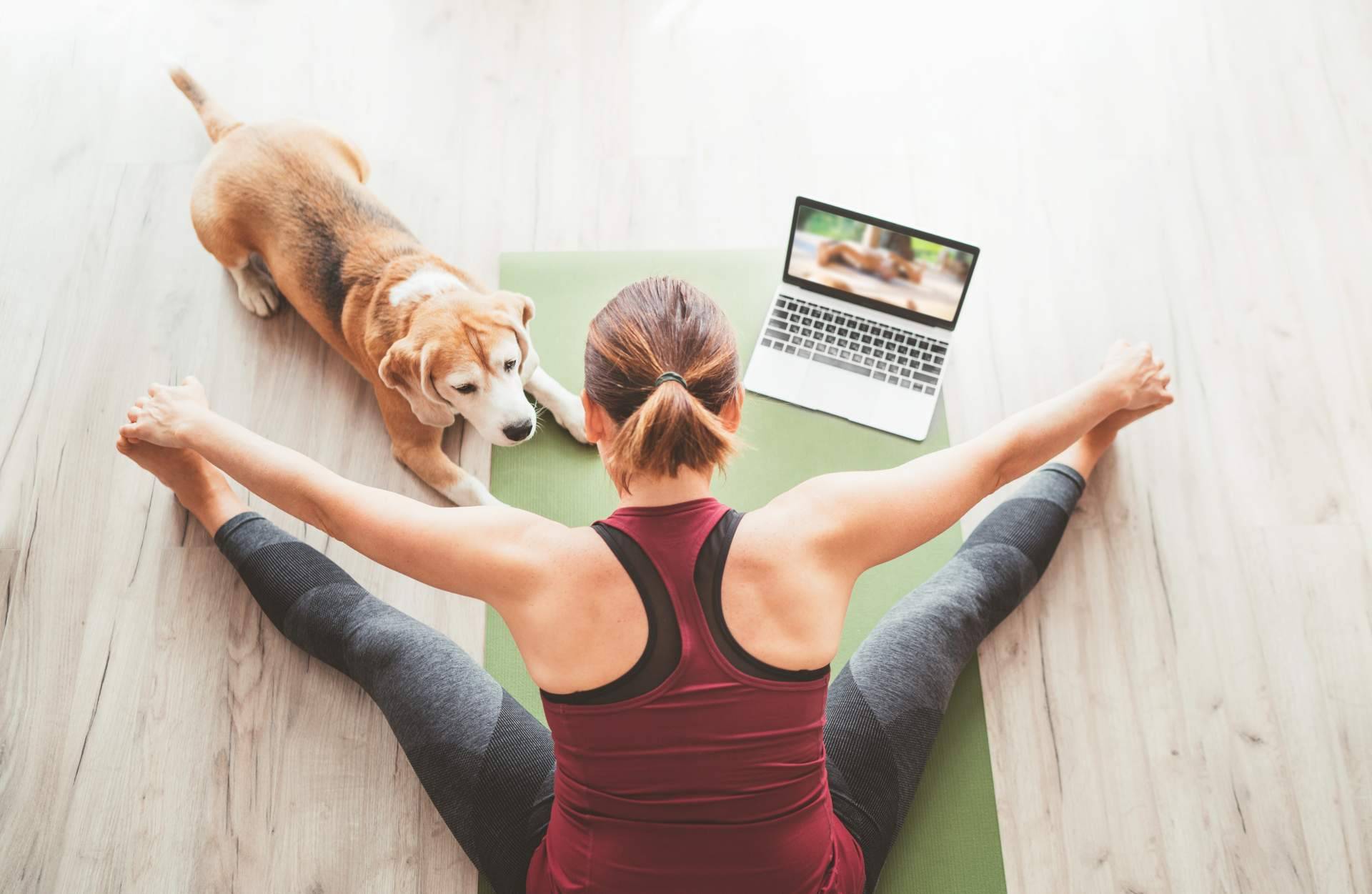 Desde casa y de una forma divertida se puede entrenar la fuerza