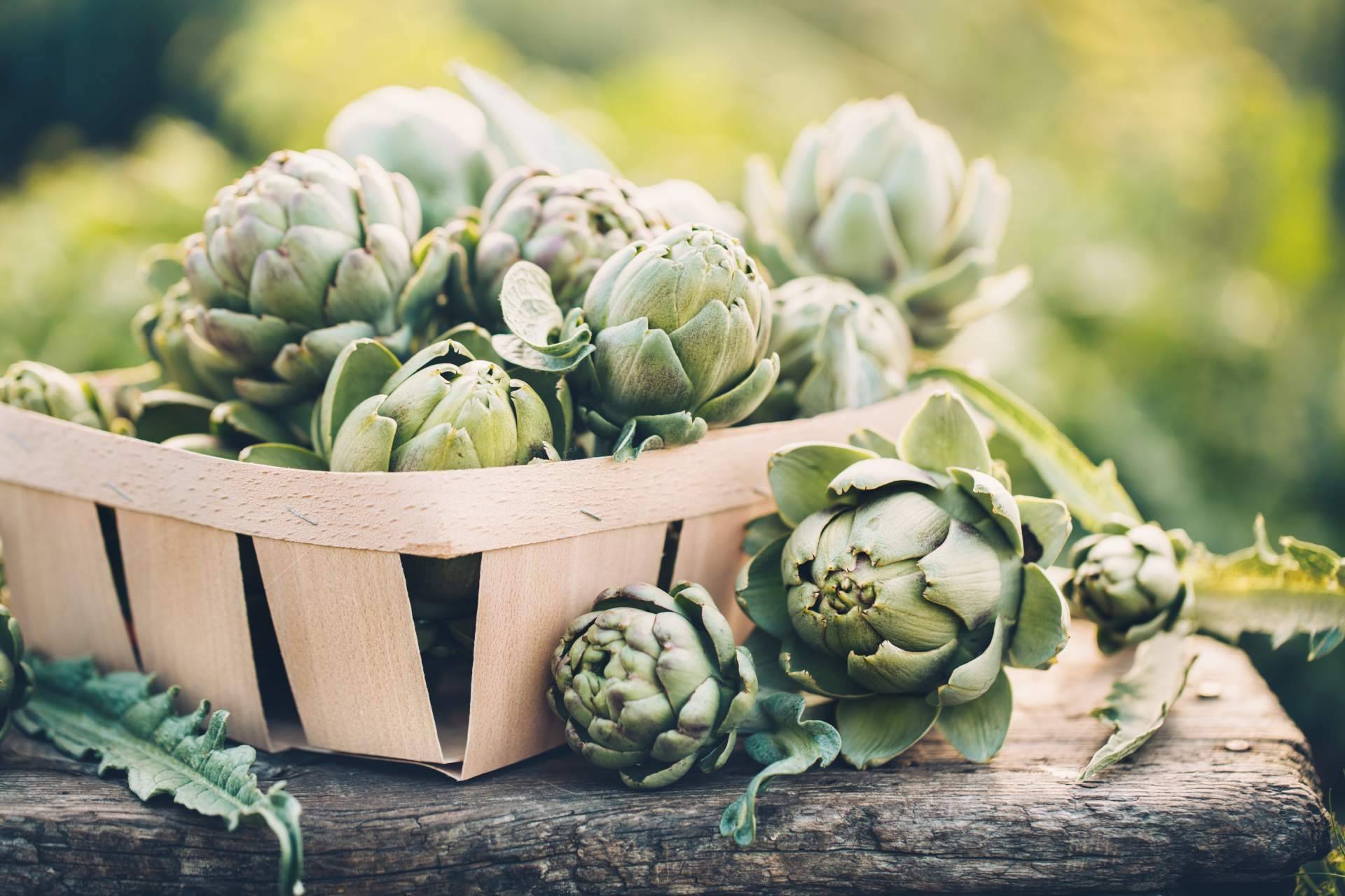 Las ventajas de la alcachofa como planta medicinal, segúnNovonatur