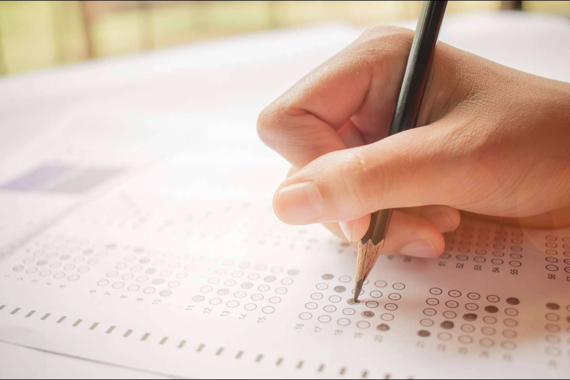 Una de las mejores opciones para preparar segundo de bachillerato es Academia Odiseo