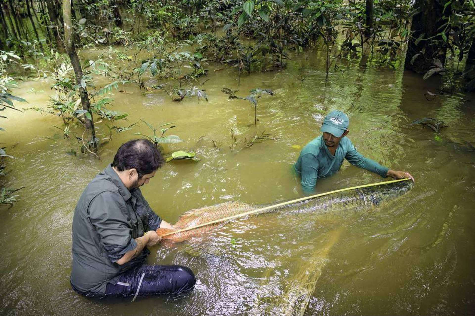 La biodiversidad acuática comienza su regeneración
