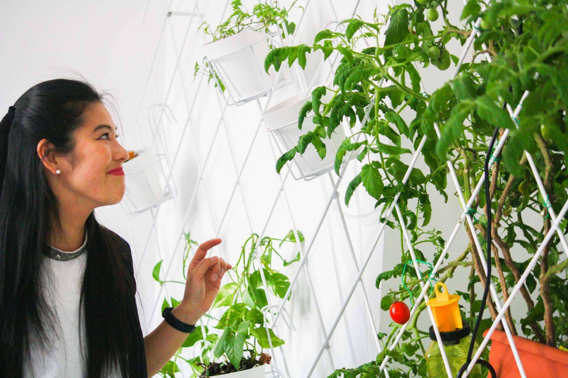 Nuevas startups dedicadas a crear espacios verdes para vivir y trabajar creadas a partir de la colaboración entre los habitantes de Urban Campus