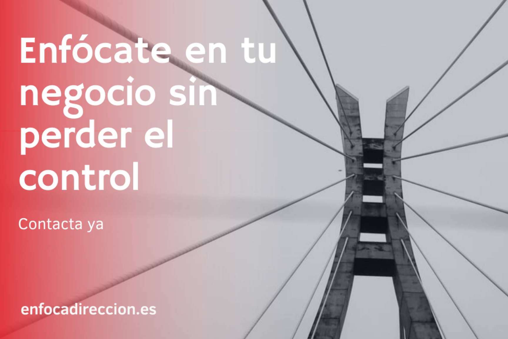 Enfoca Dirección presenta las opciones de financiación para empresas