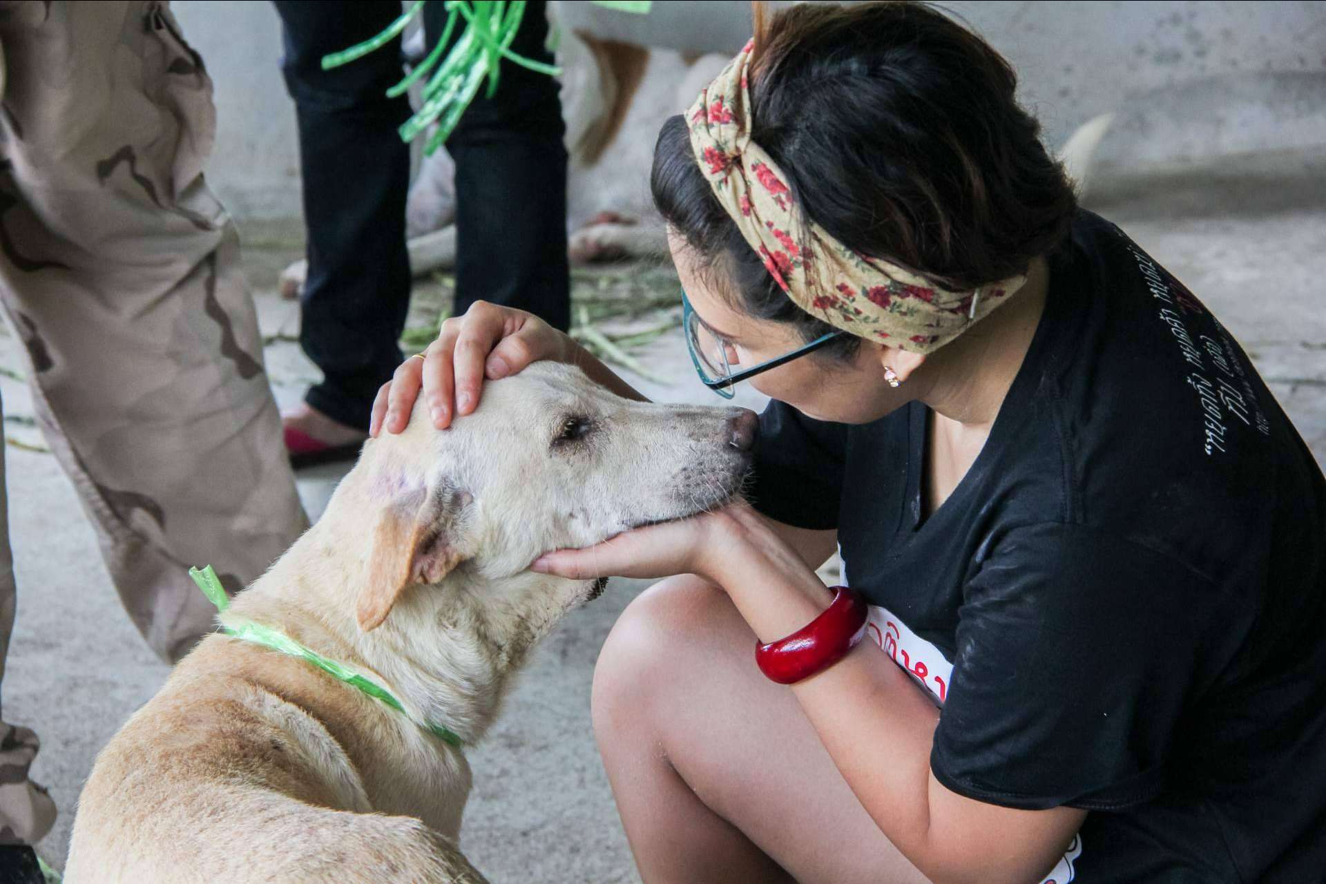 El proyecto Adopta un Animal y su tienda online propia ayudan a fundaciones y protectoras de animales