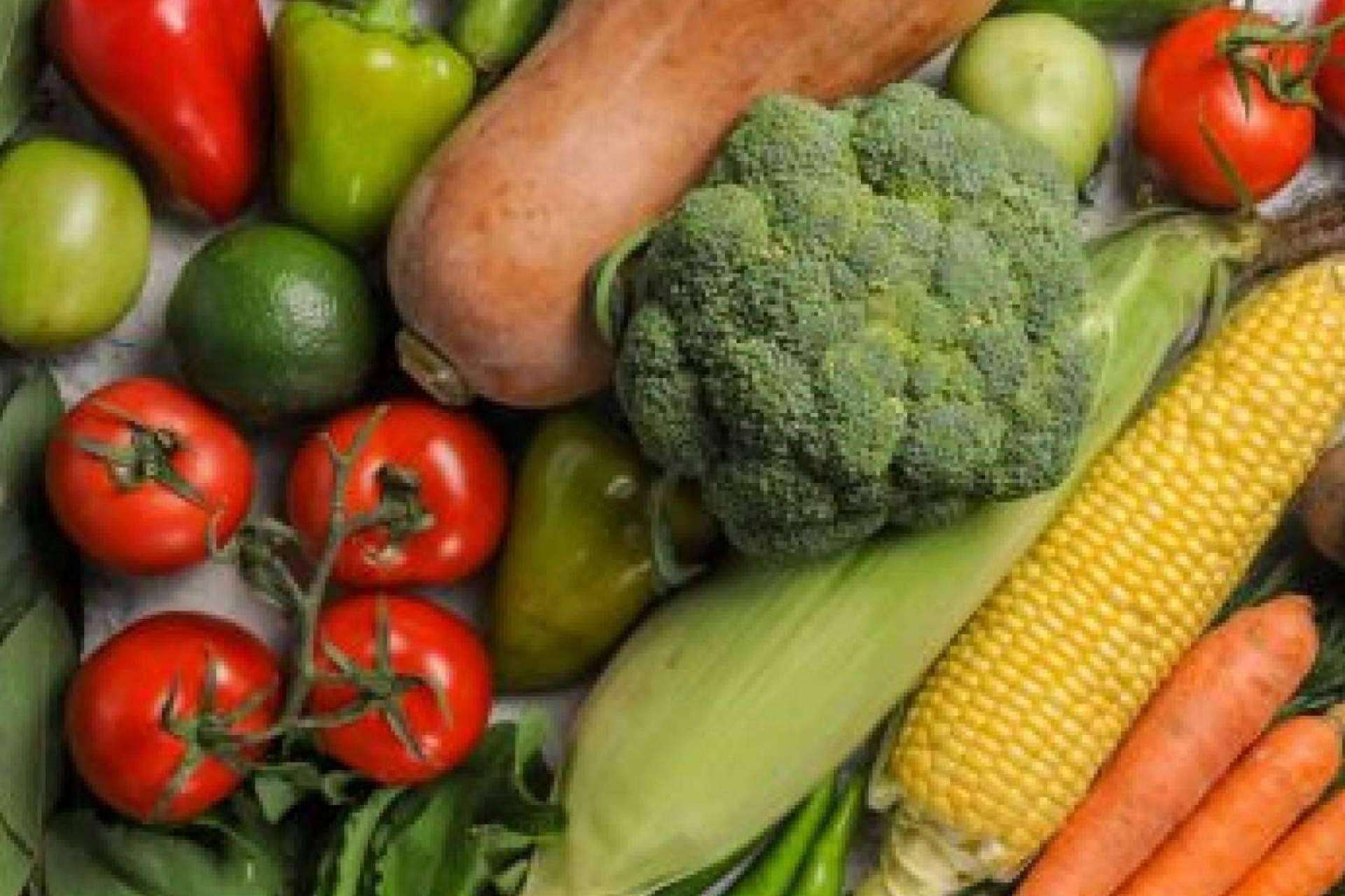 La videoconferencia de la Dra. Paloma Pérez del Pozo acerca de los beneficios de los alimentos antioxidantes