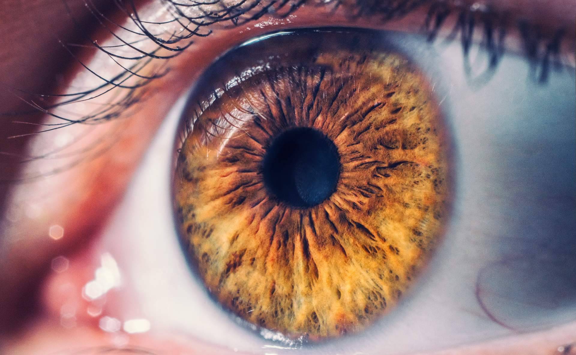 La retinografía es la prueba para detectar enfermedades oculares, por GX2