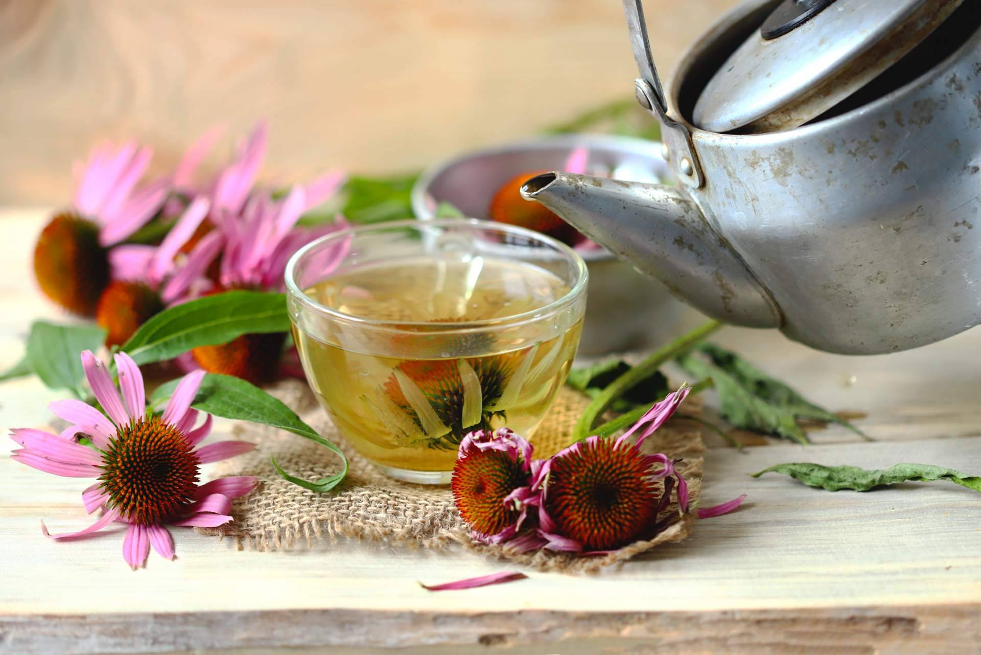 ¿Cuáles son los beneficios de las infusiones ecológicas?, por Replantea
