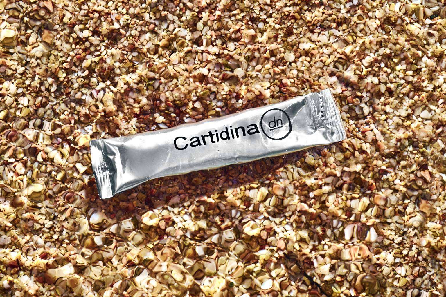 Protección articular y antiinflamatoria con la cartidina de Direct Nutrition