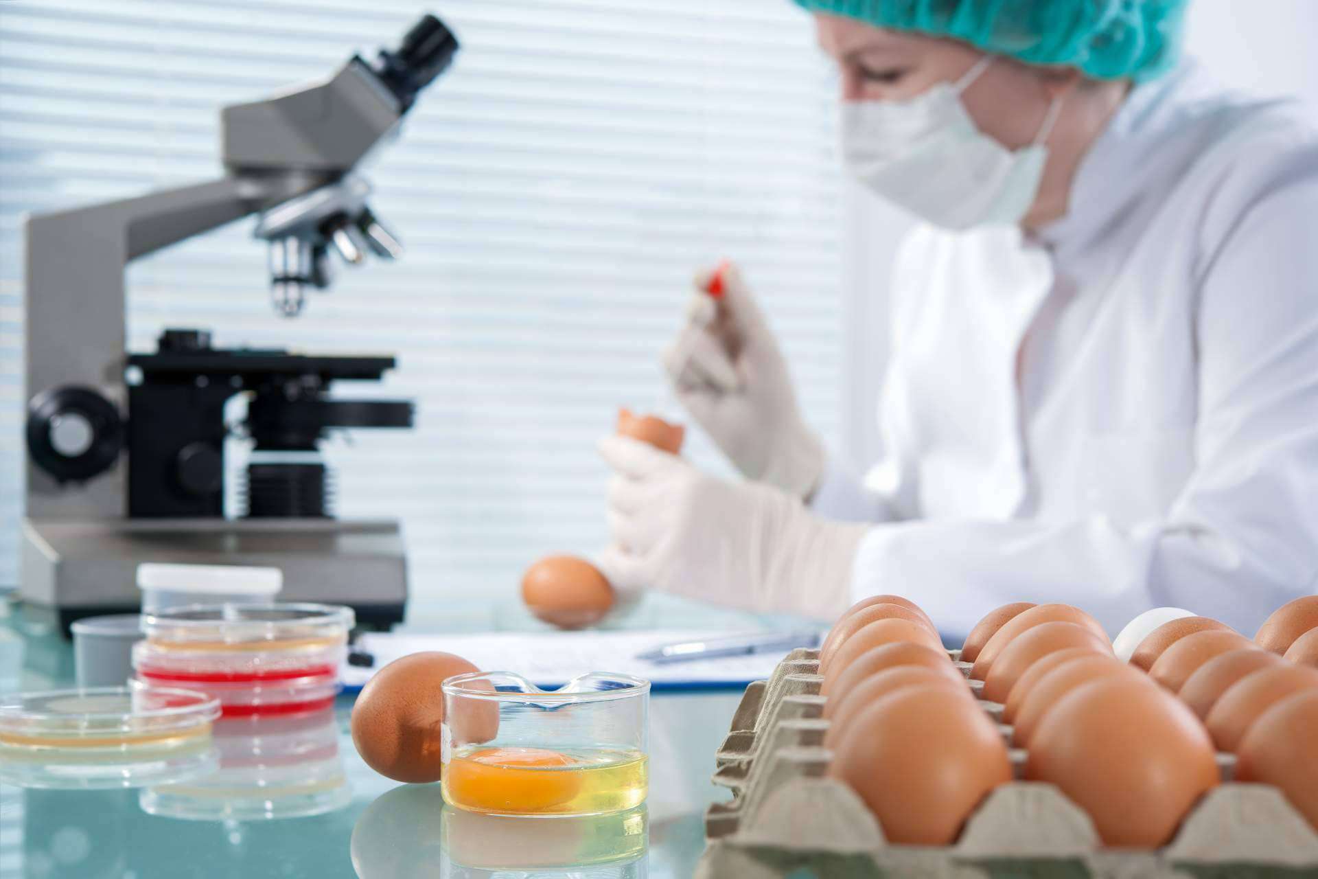 Seguridad alimentaria con Sigesmar, manipulación de alimentos y asesoría técnica para empresas