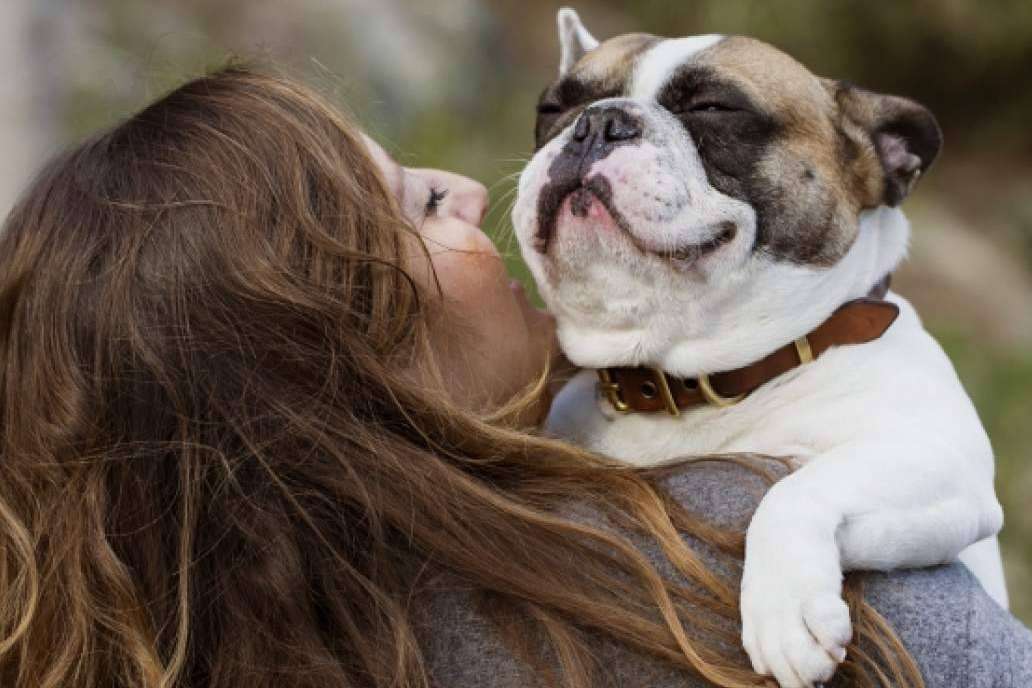 CRU, alimentación saludable para perros y gatos