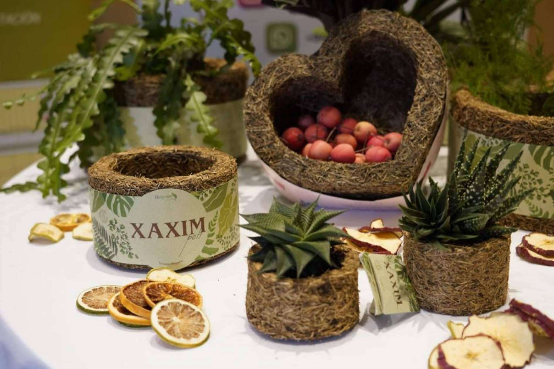 Un regalo original y ecológico para el día de los enamorados, sorprender a la pareja y cuidar el planeta con Biosolvit Spain