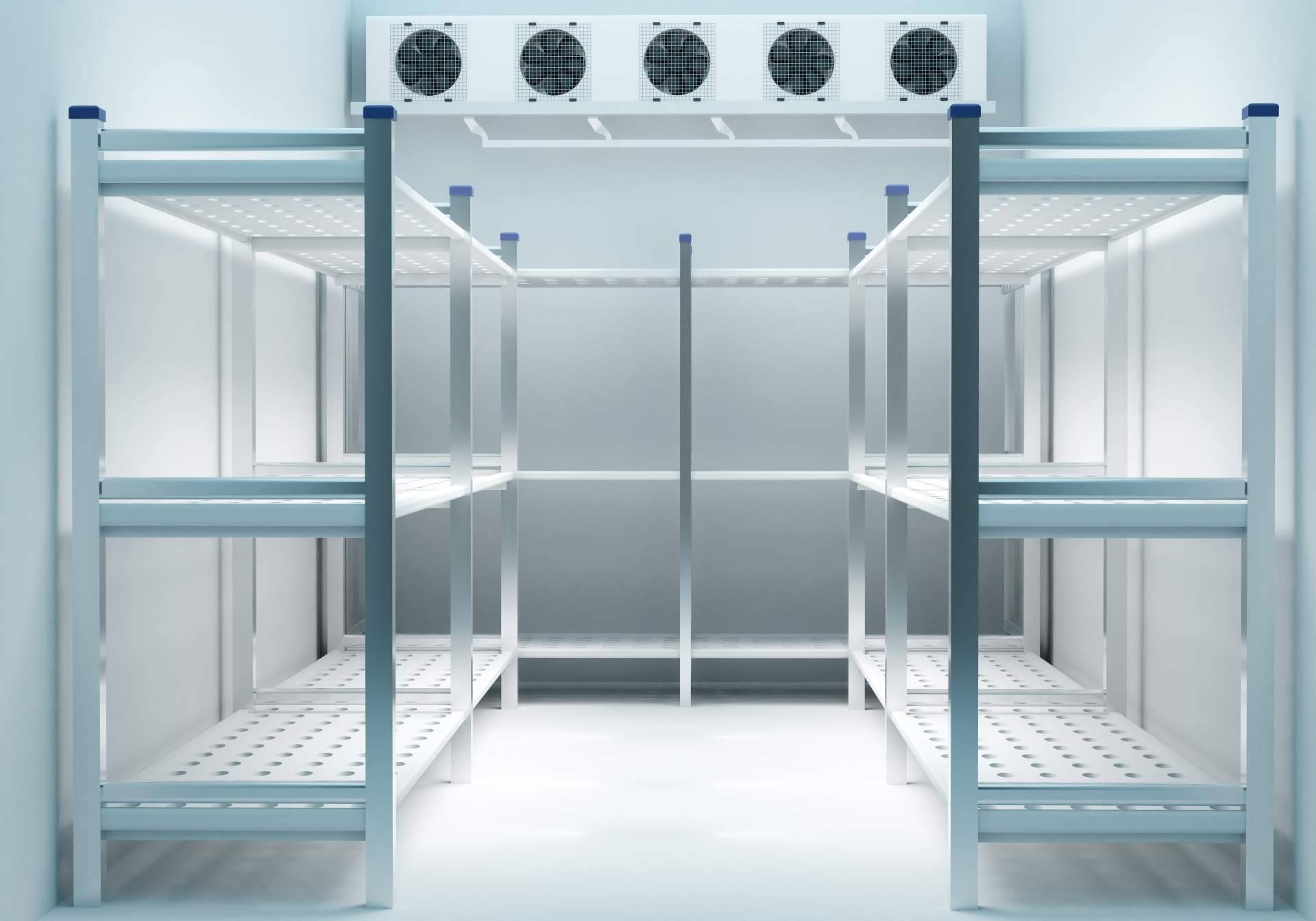 Aspectos a tener en cuenta para organizar una cámara frigorífica según los expertos de AACore Supply
