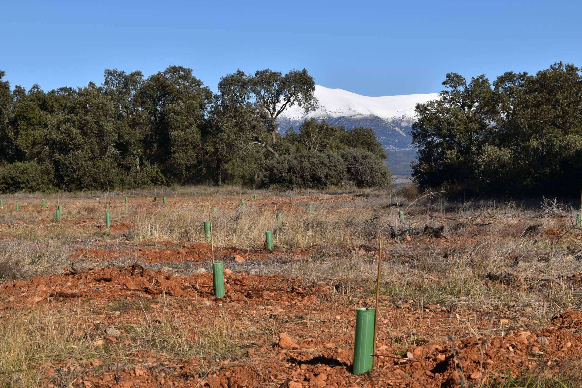 La importancia de compensar la huella de carbono en España
