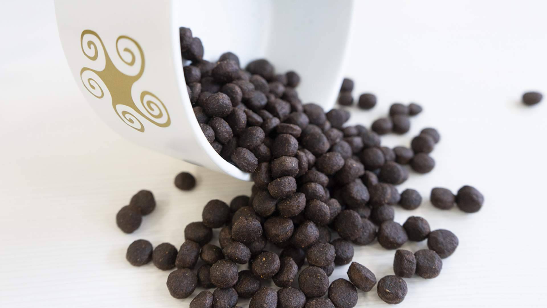 La alimentación Grain-Free para perros de Lenda