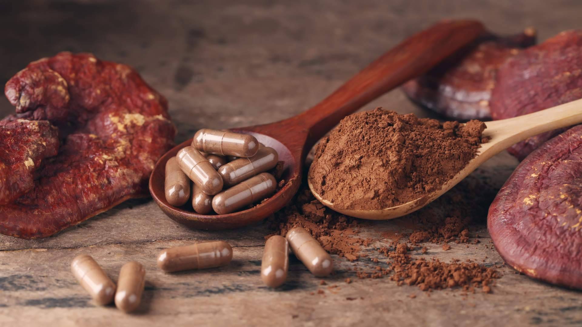Para mejorar la salud y el bienestar, el hongo Reishi es un aliado alternativo