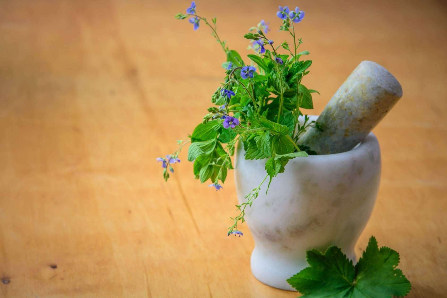 Una formación en fitoterapia para aprender todo sobre las plantas medicinales y sus usos