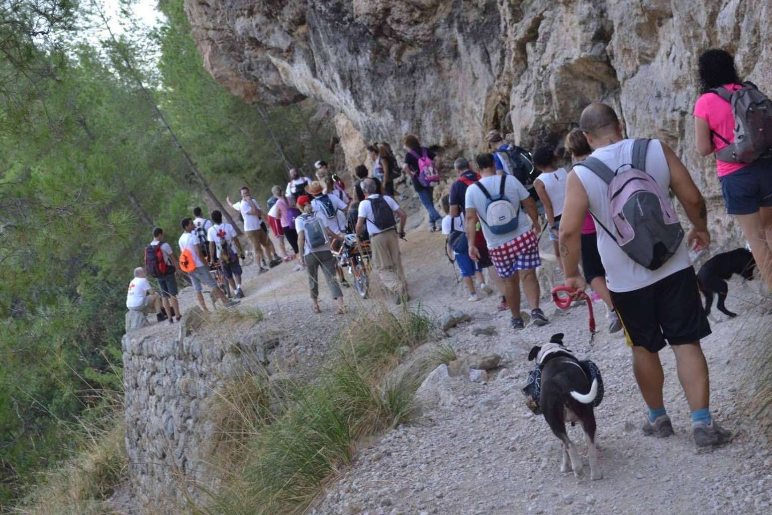 Mejorar la relación entre perros y humanos con el adiestramiento canino, de la mano de la Asociación Española de Perros de Apoyo