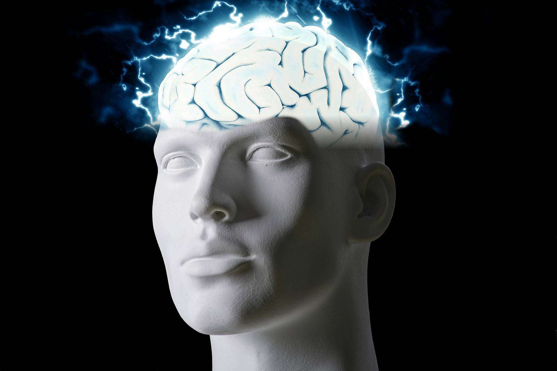 La nueva plataforma de cursos sobre la mente, Mind Galaxy