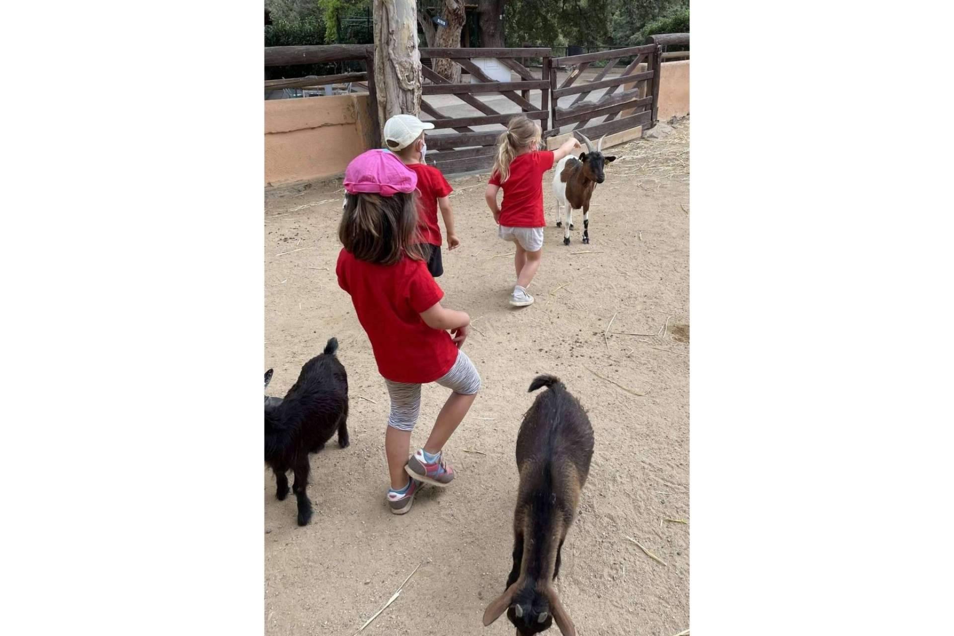 Pàlcam pone en marcha el casal de verano