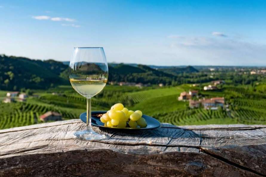 Unos de los mejores vinos ecológicos disponible en la web de Your Wine at Home