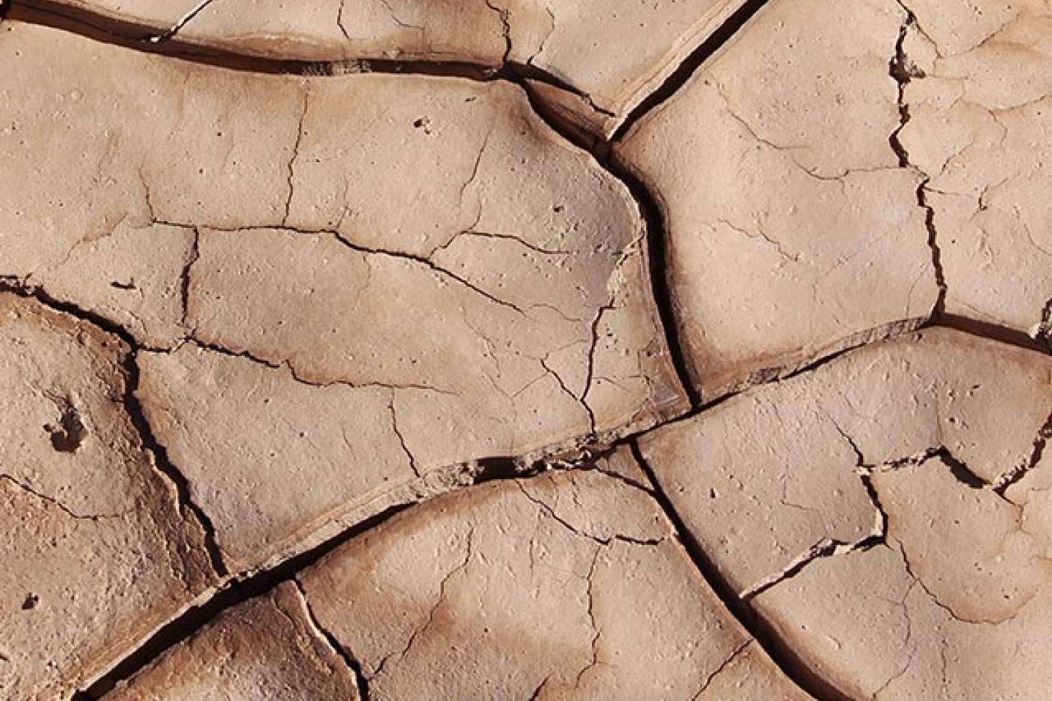 Dicadia sobre los síntomas de falta de salivación