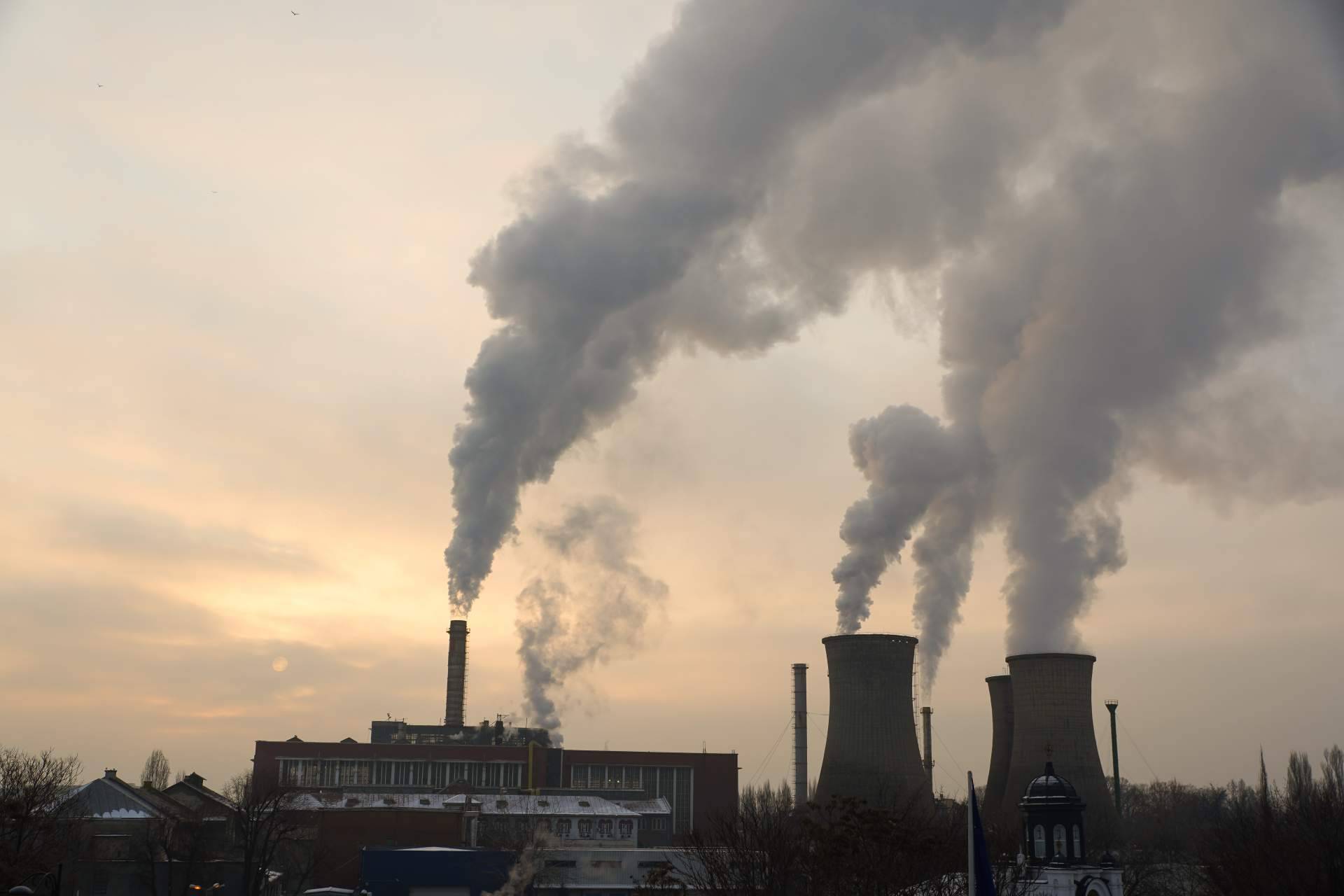 ClimateTrade se ocupa de compensar la huella de carbono