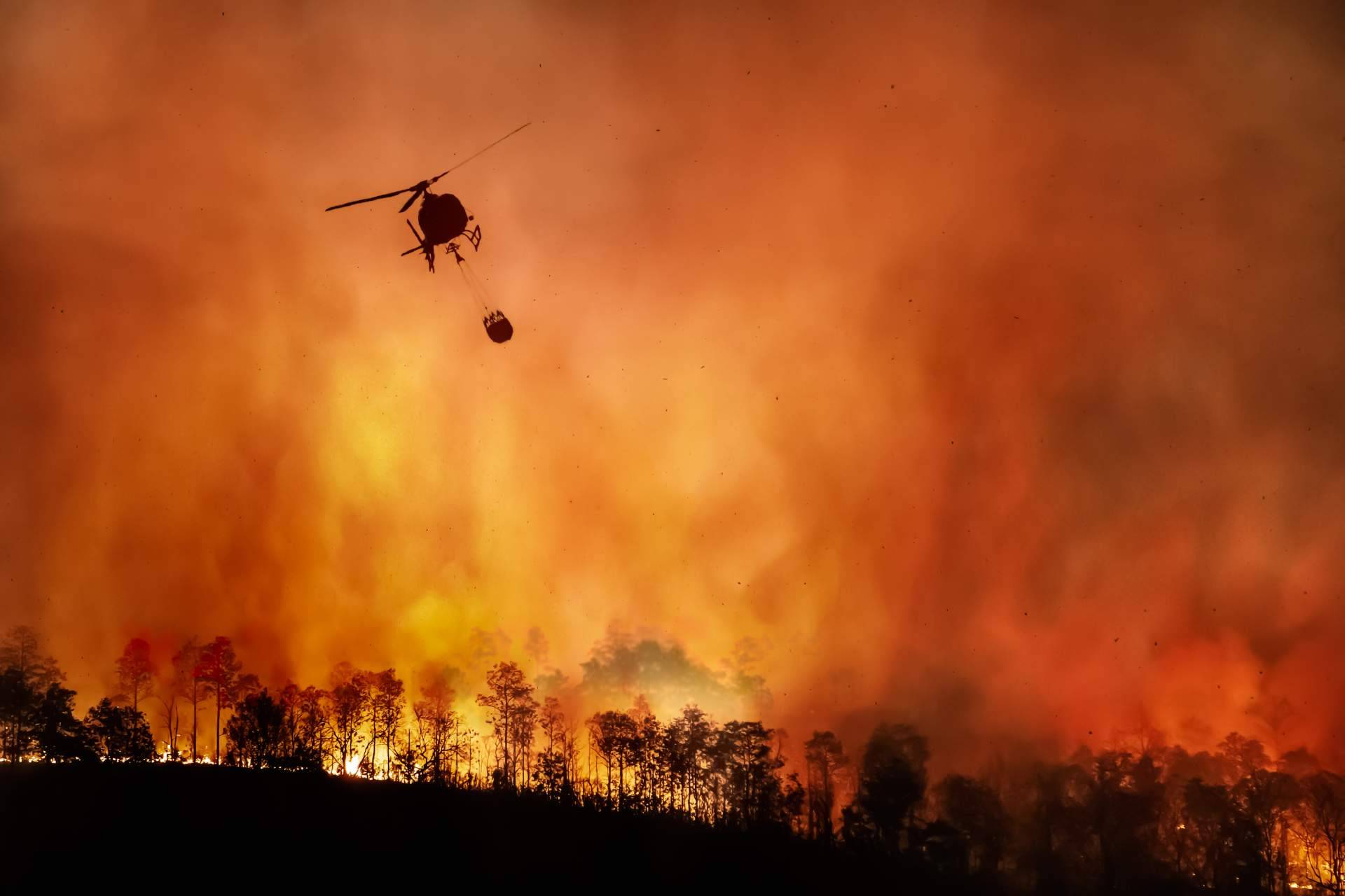 #SoydeMijas plantea como prevenir los incendios forestales en Mijas