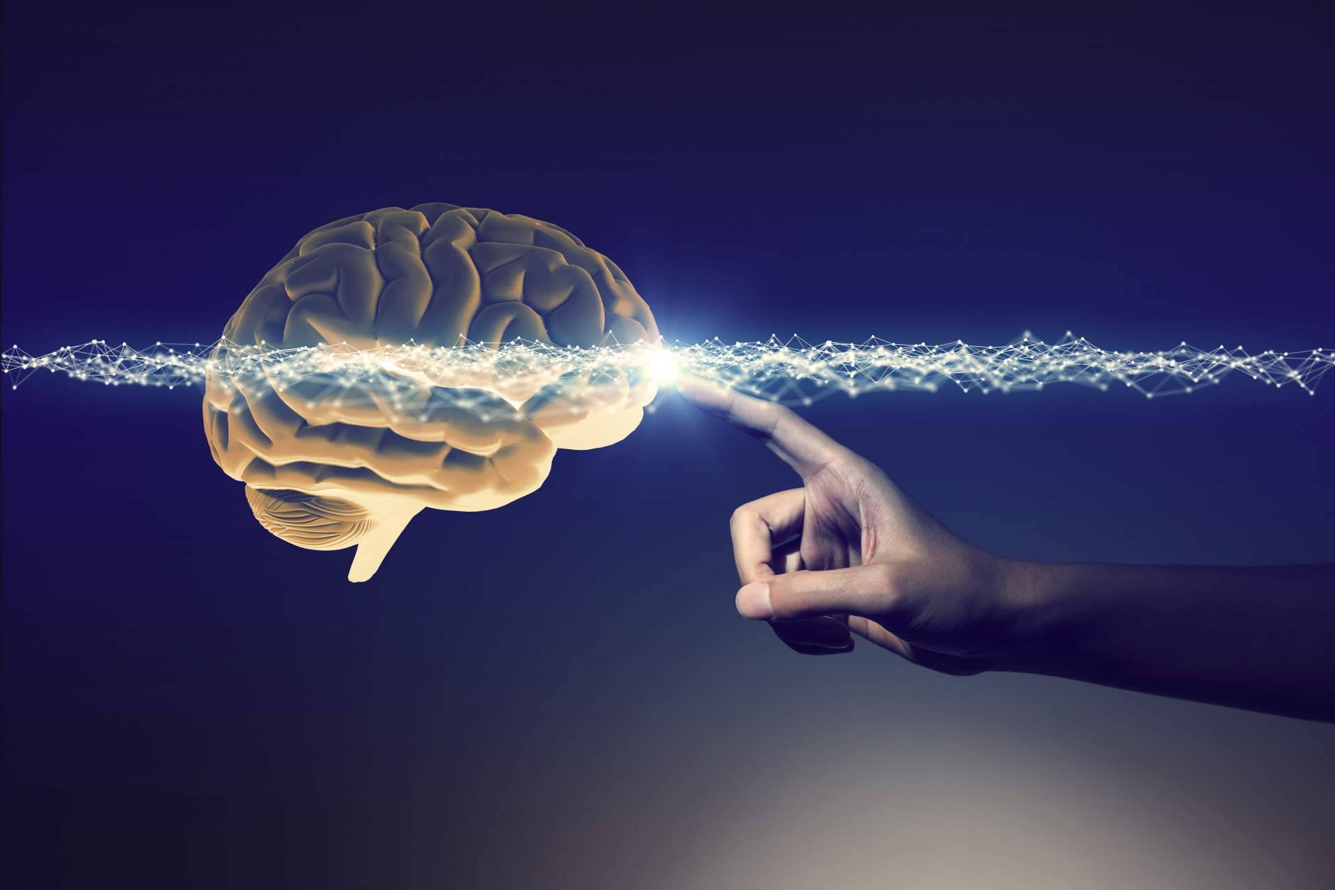Técnicas neurocientíficas aplicadas al aprendizaje de ILVEM