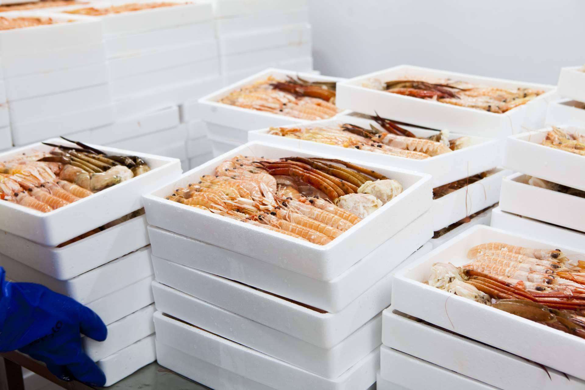 Importaciones de marisco congelado y pescado de calidad con Mariscos Apolo
